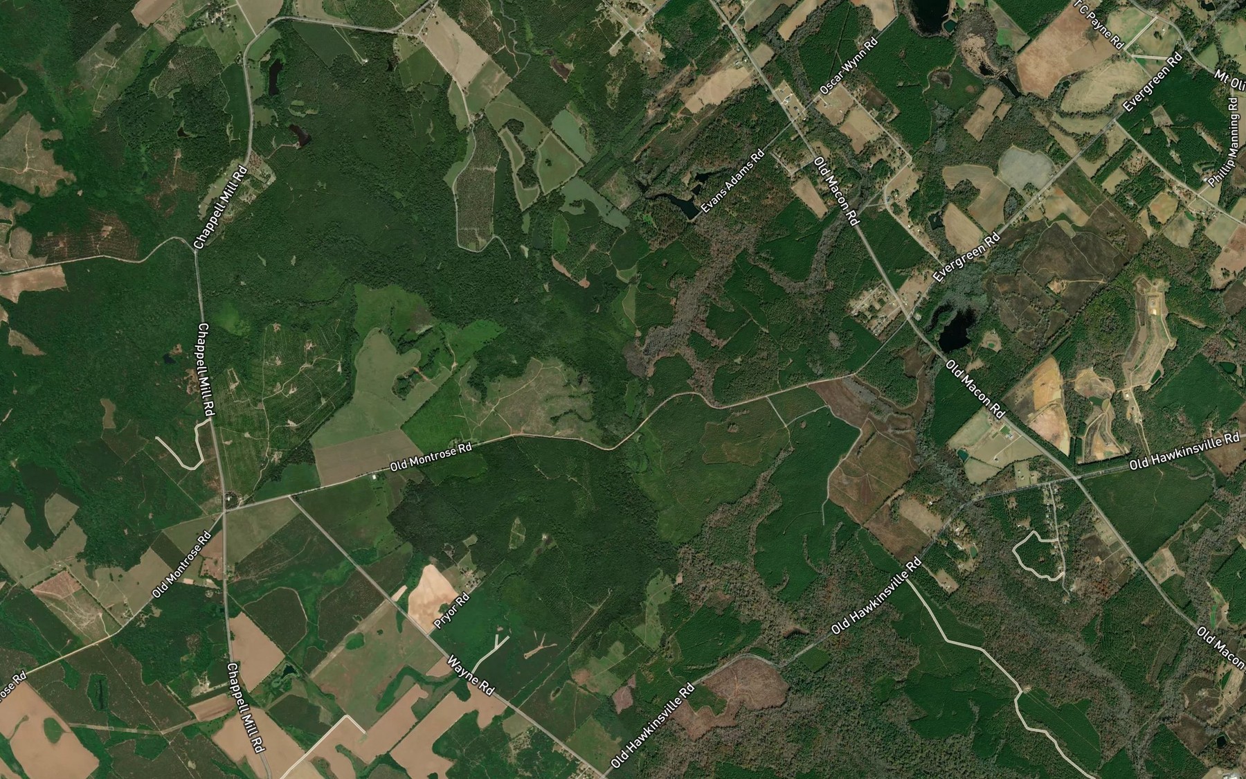 Satellite map of the Palmetto Branch