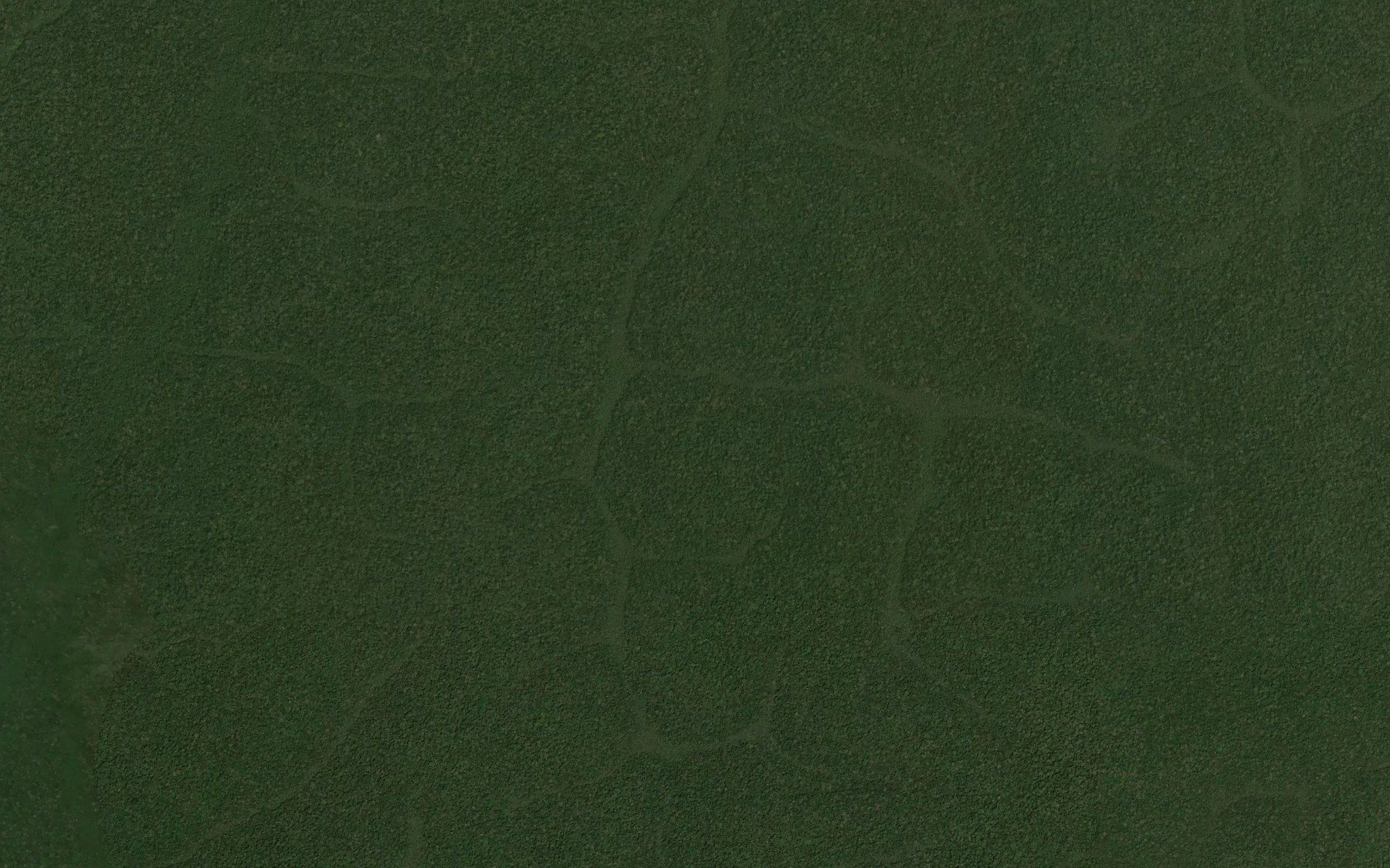 Satellite map of the Delinge