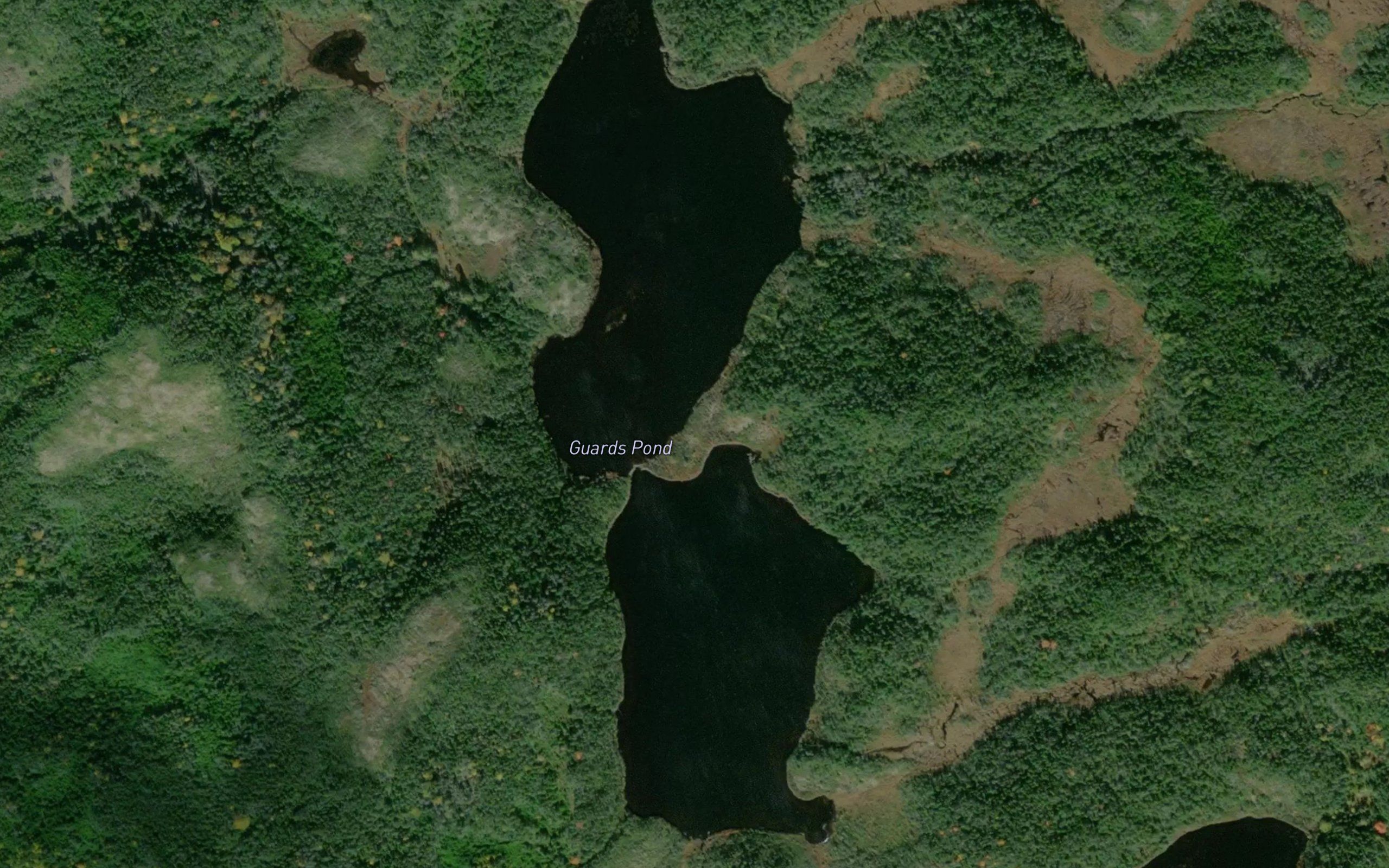 Guards Pond
