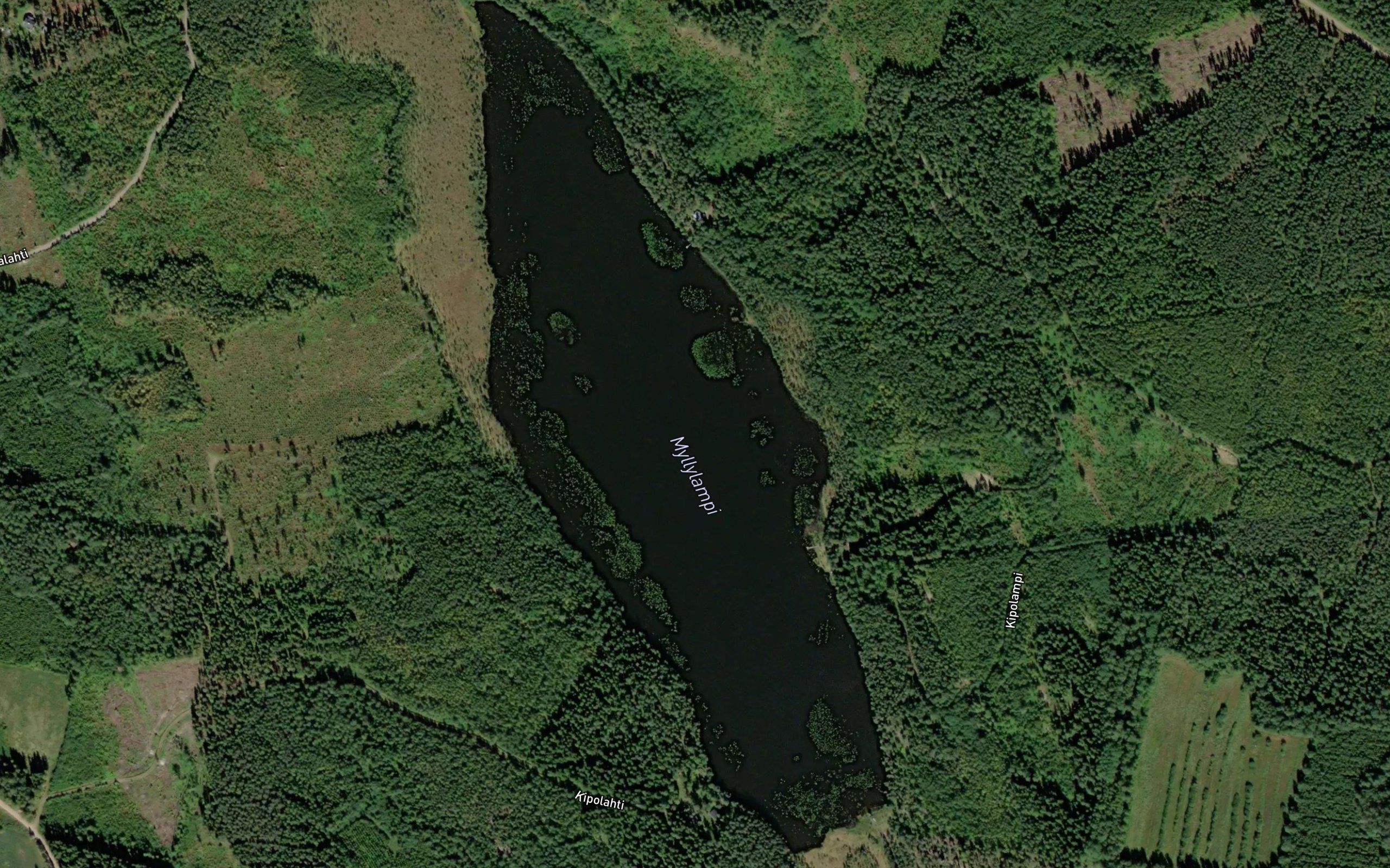 Kipolampi