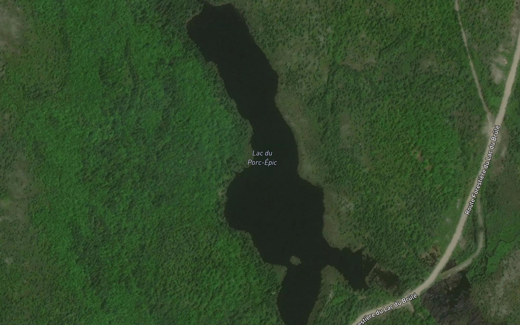 Satellite map of the Lac du Porc-Epic