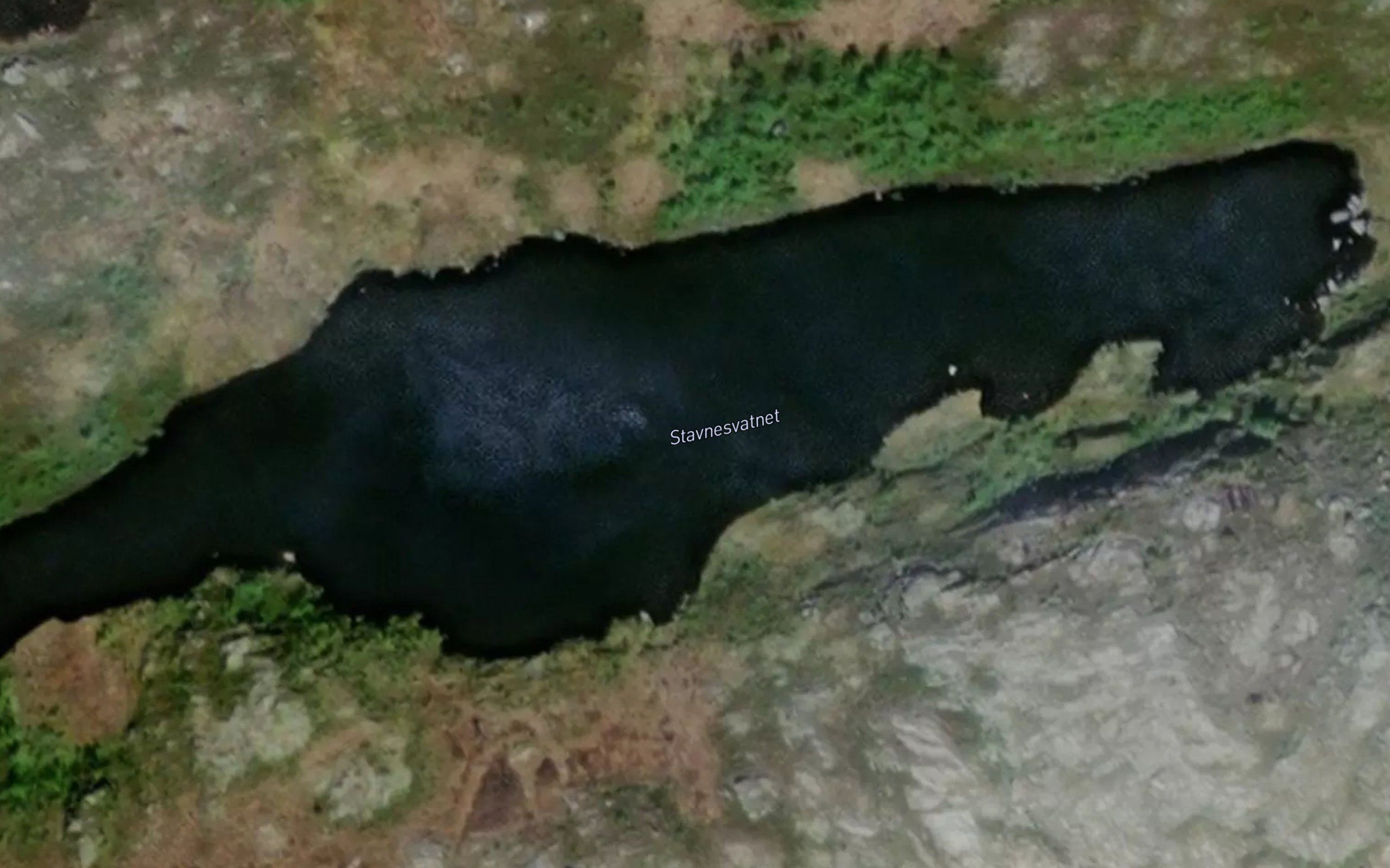 Stavnesvatnet