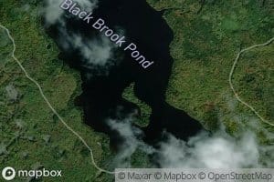 Black Brook Pond