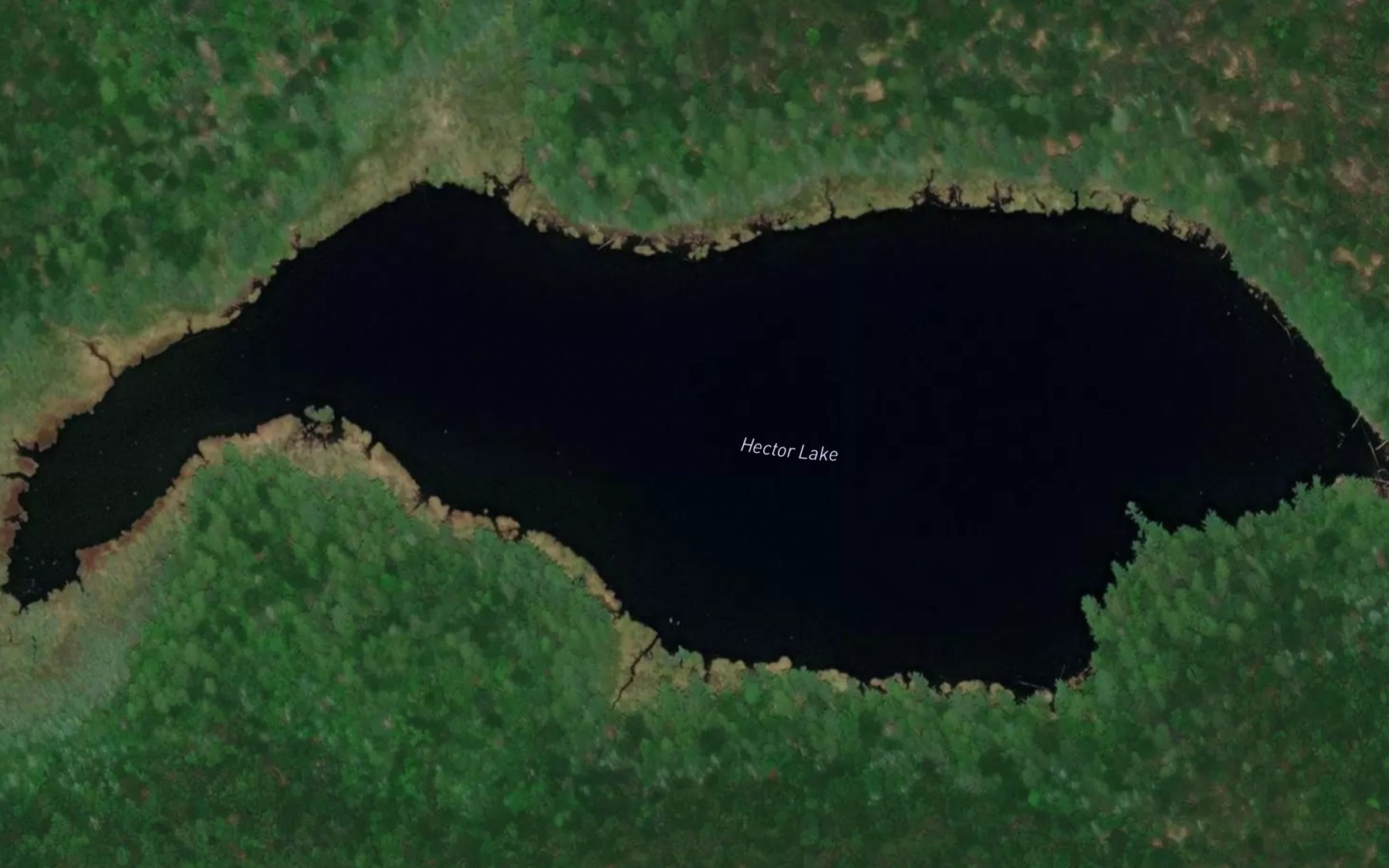 Satellite map of the Hector Lake