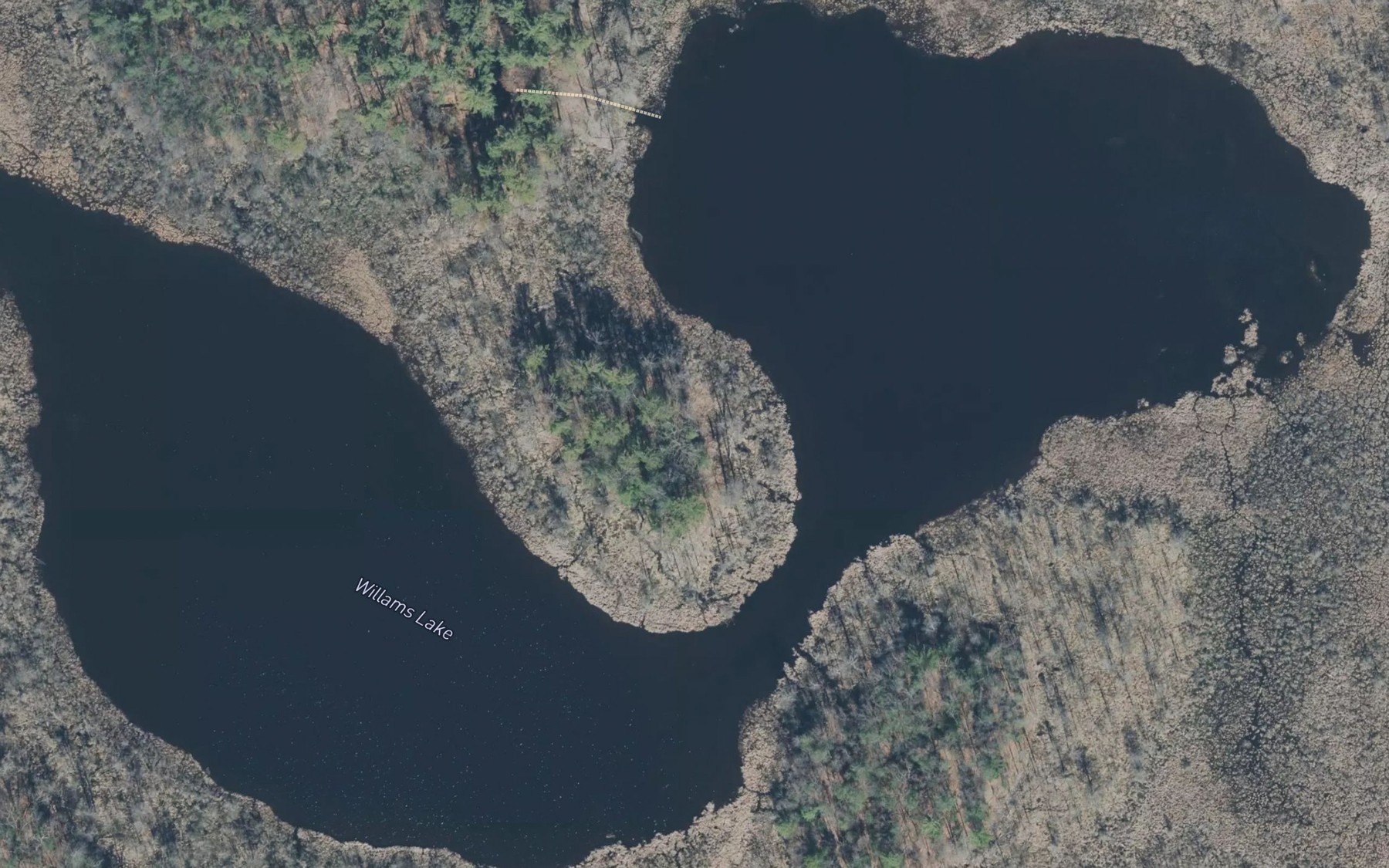 Satellite map of the Williams Lake