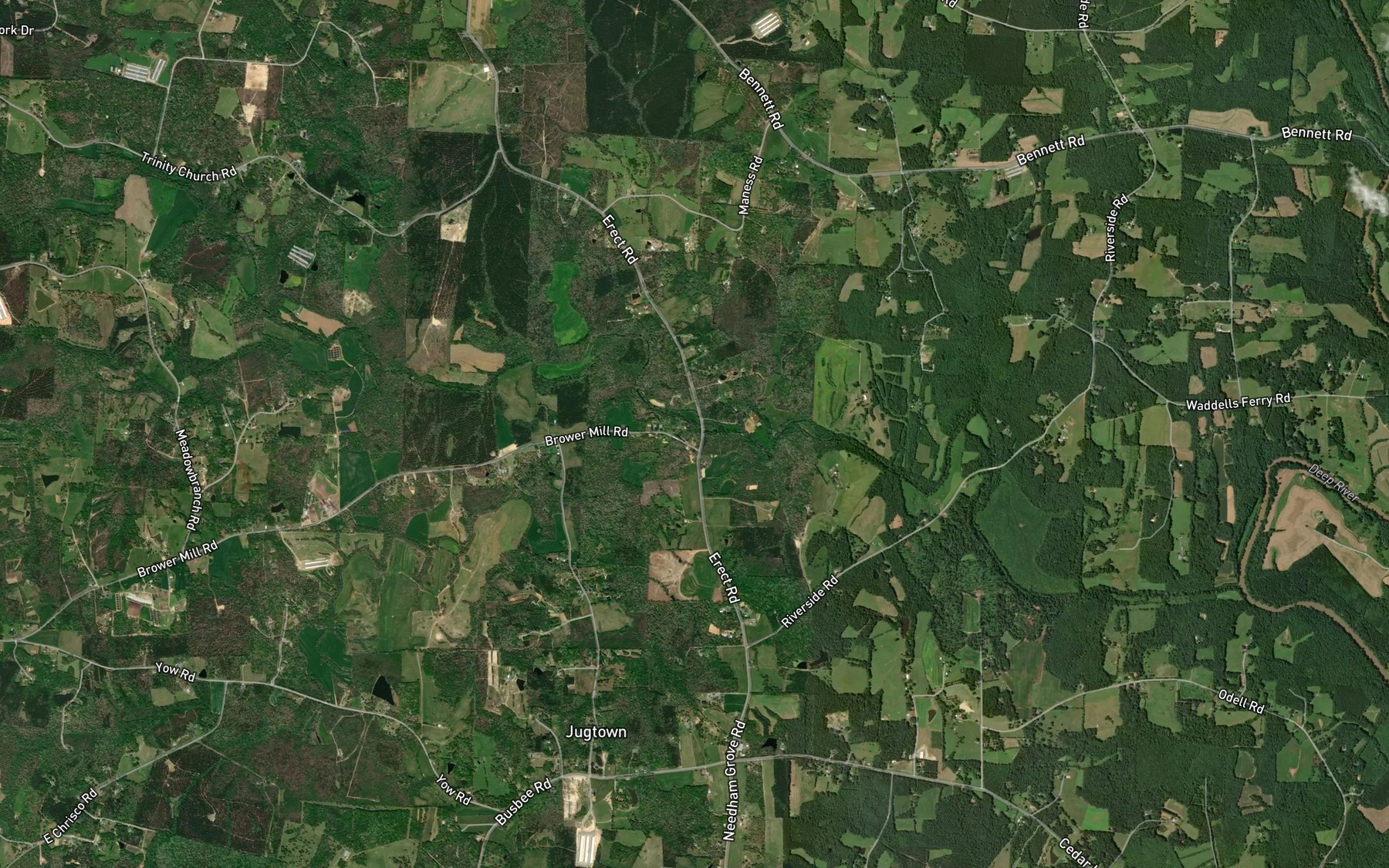 Satellite map of the Reedy Creek