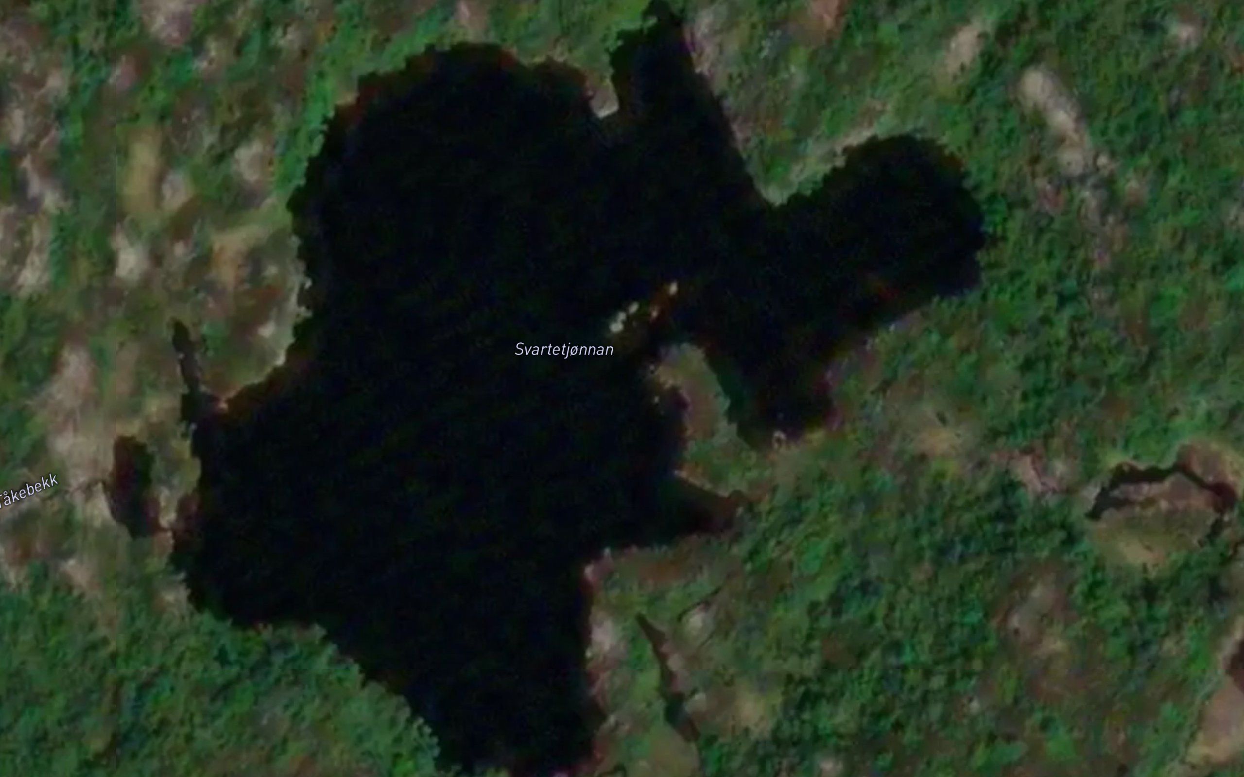 Svartetjonnan