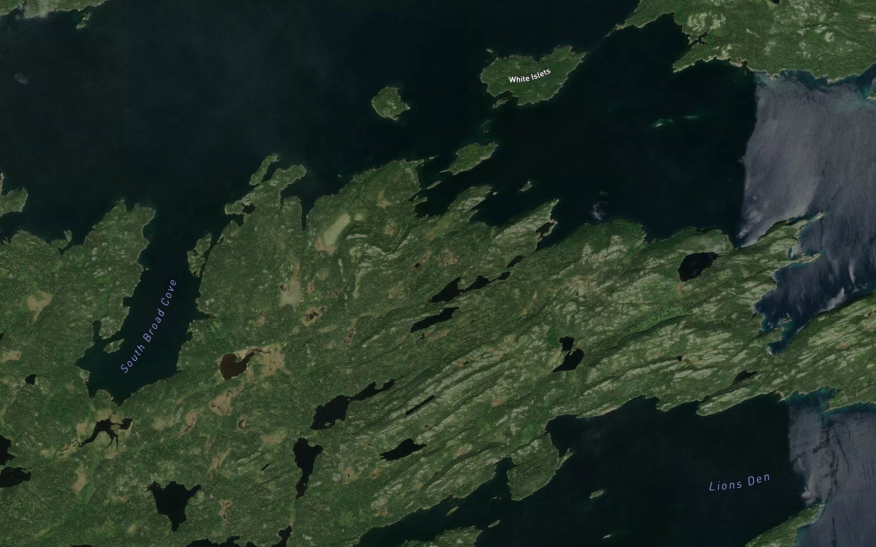 Satellite map of the Ship Cove Ponds