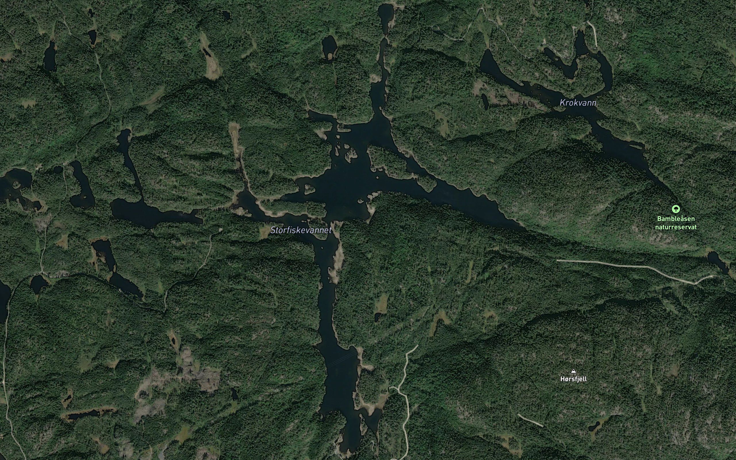 Storfiskvann