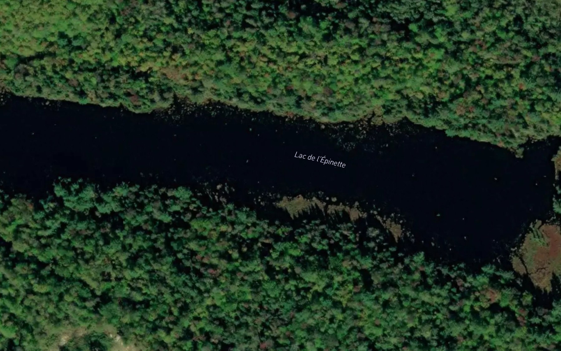 Satellite map of the Lac de l'Epinette