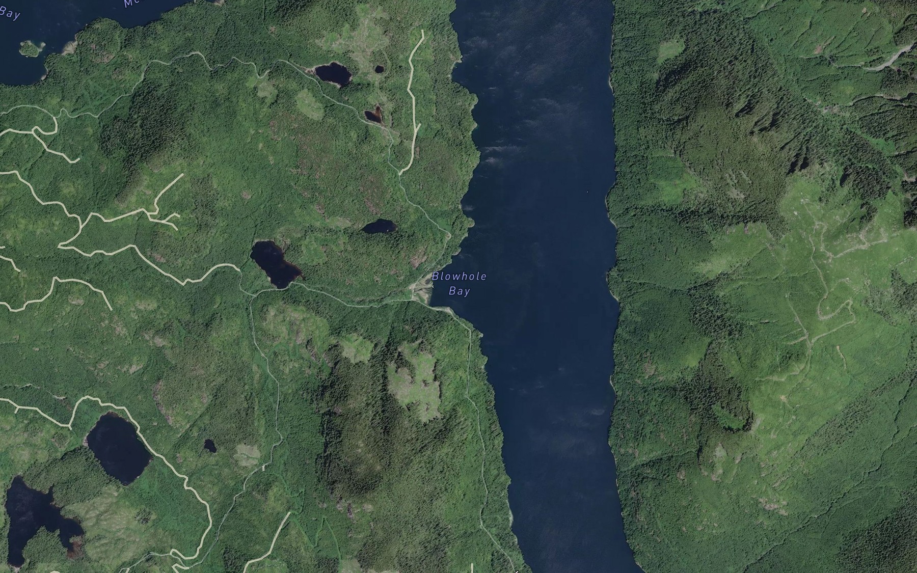 Satellite map of the Blowhole Bay