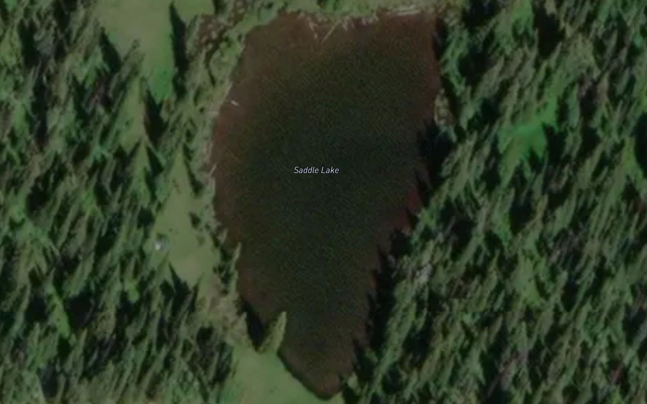 Saddle Lake