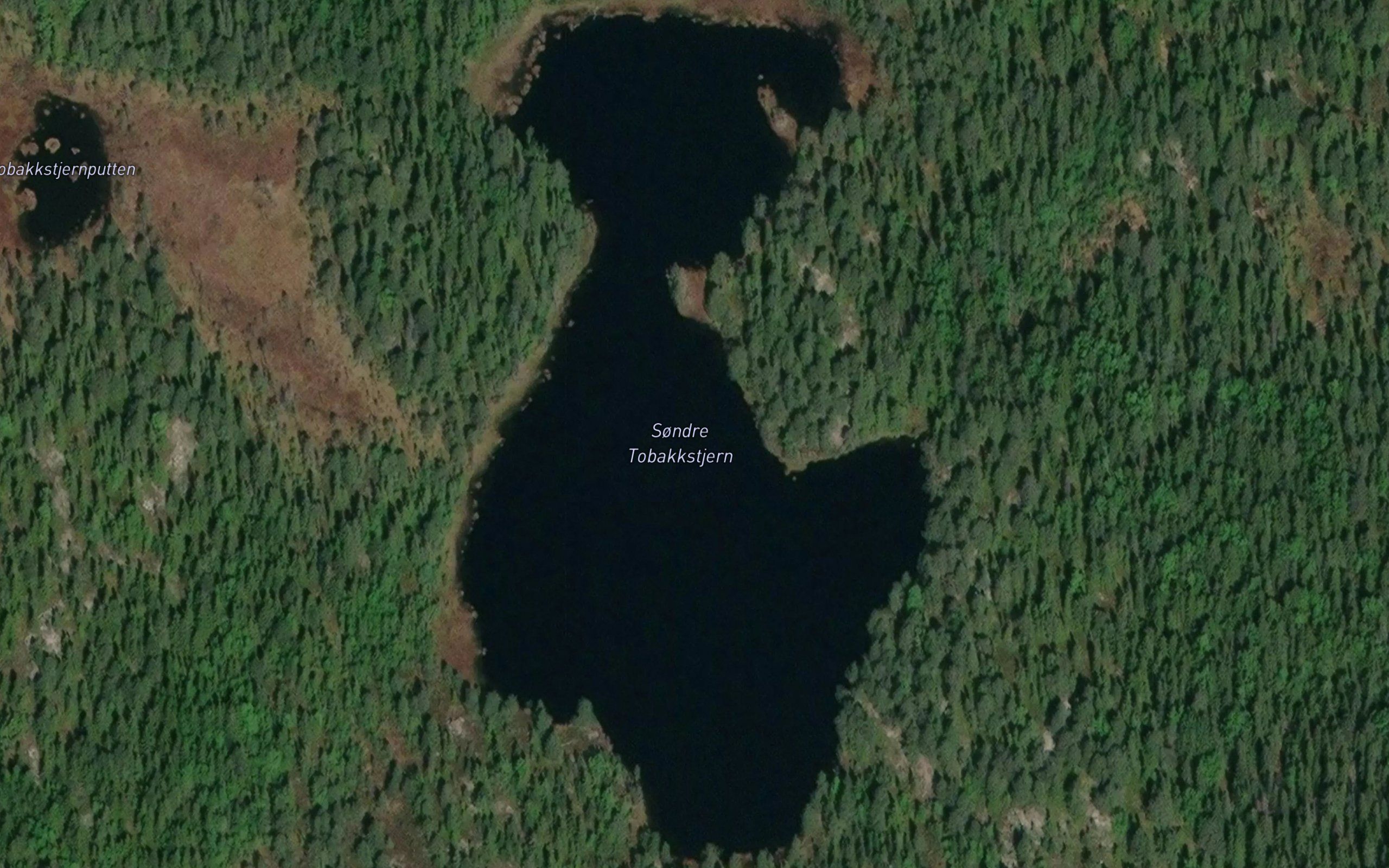 Tobakktjerna