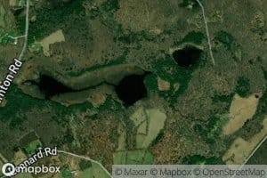 Mud Pond