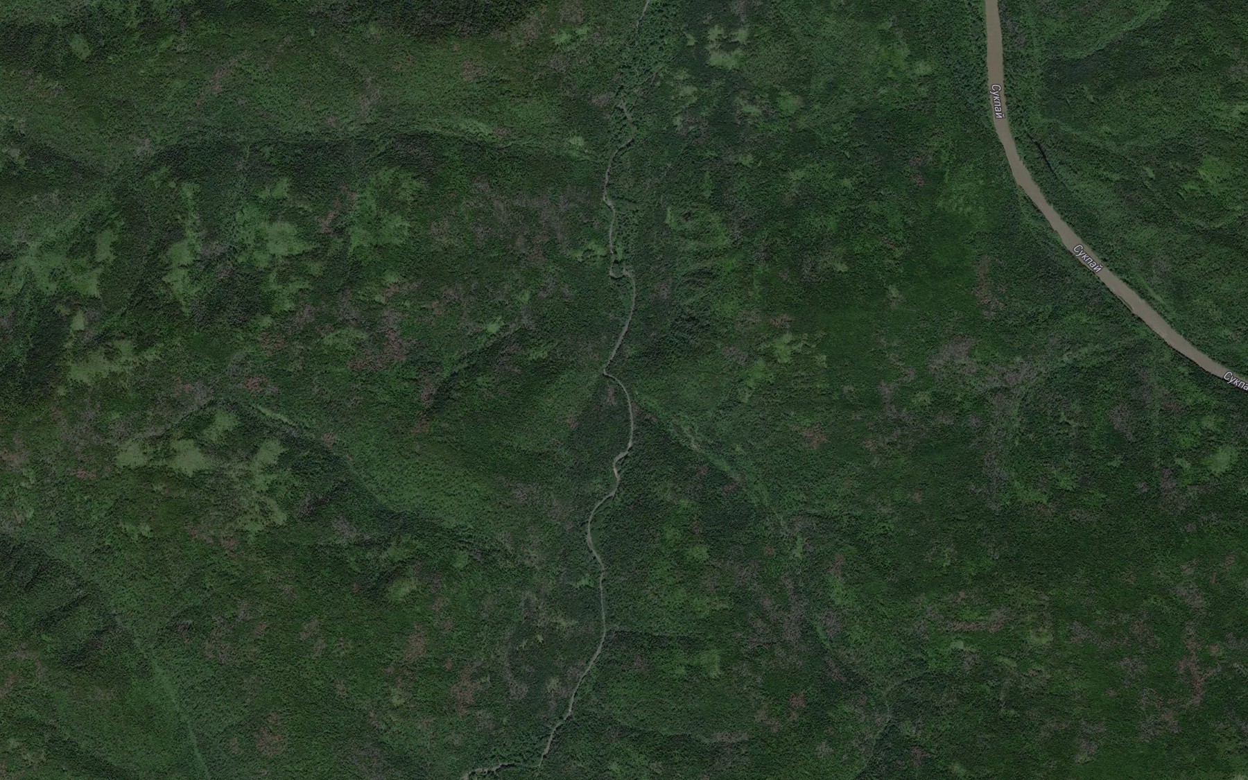 Satellite map of the Levaya Tykpa