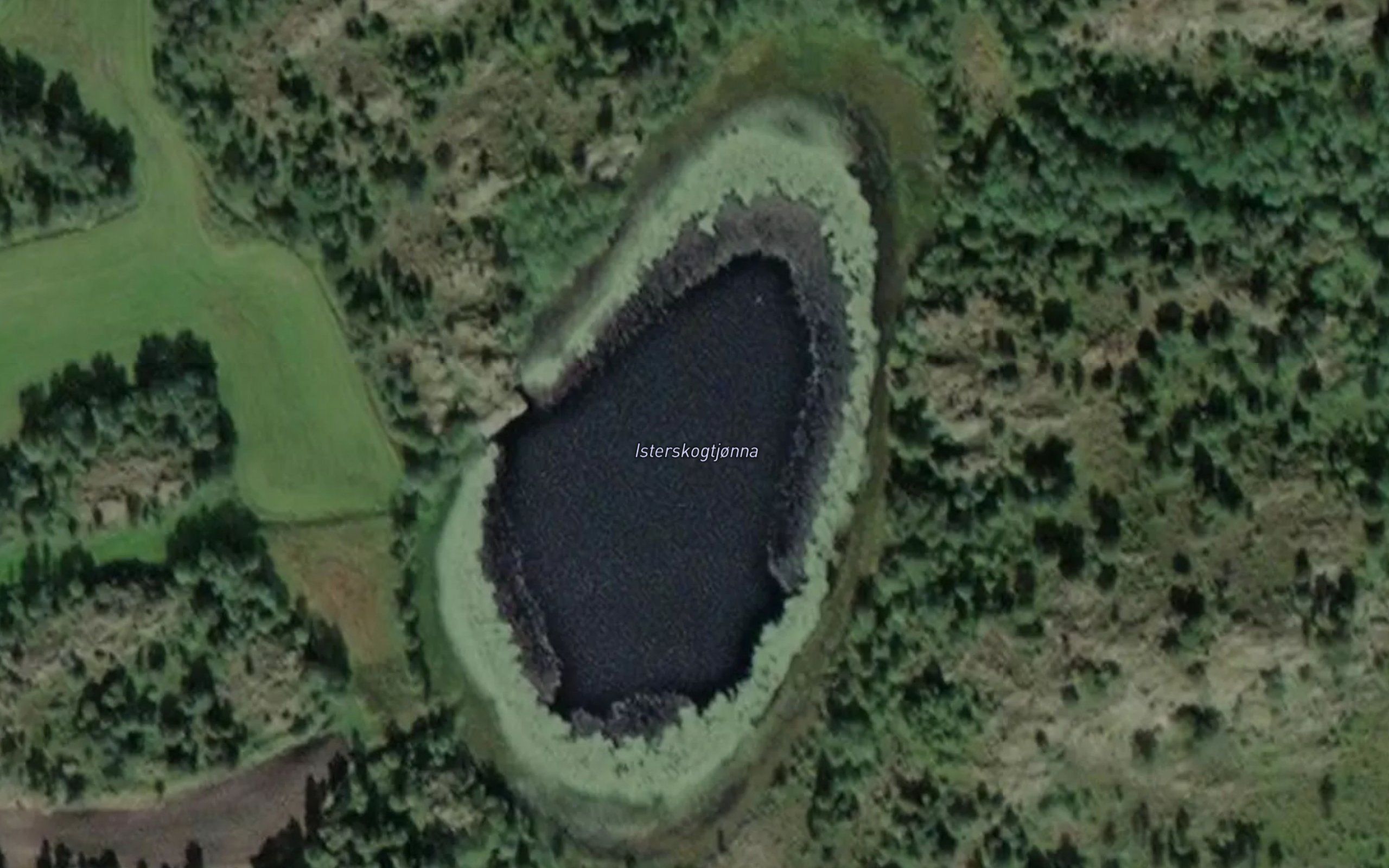 Isterskogtjonna