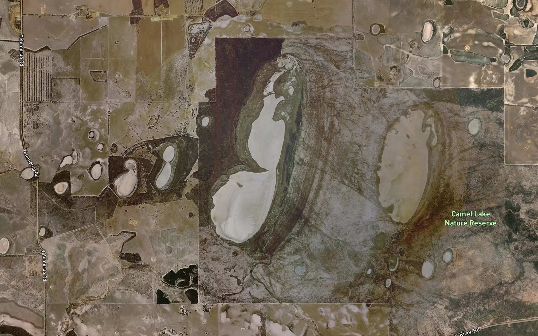 Satellite map of the Camel Lake
