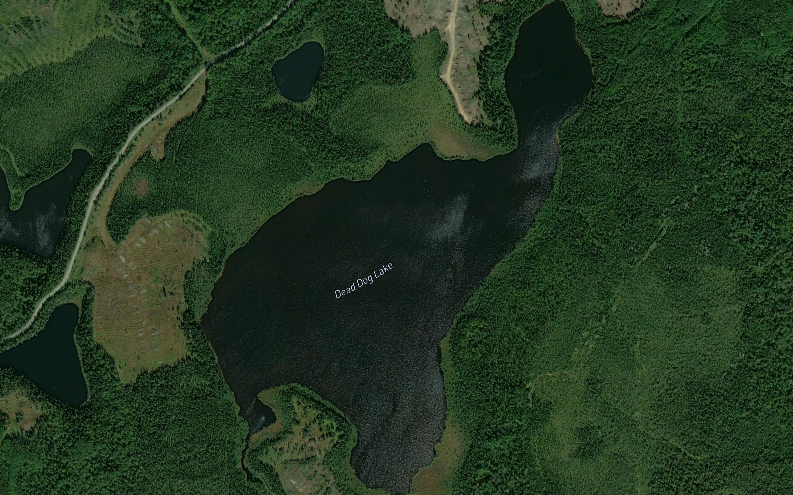Dead Dog Lake