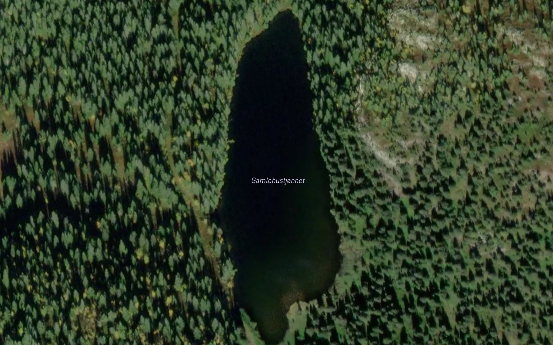 Satellite map of the Gamlehustjornet
