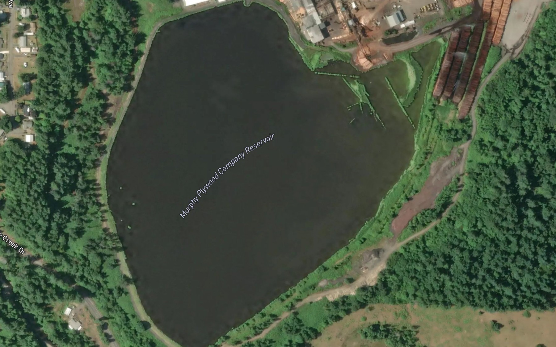 Satellite map of the Willamette National Lumber Company Reservoir