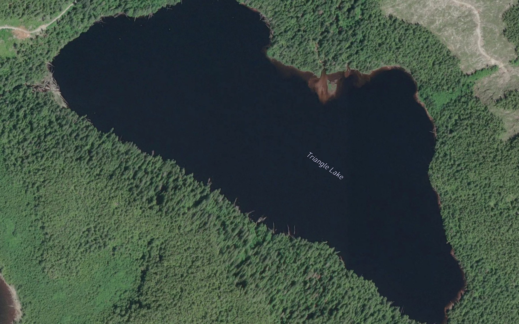 Satellite map of the Triangle Lake