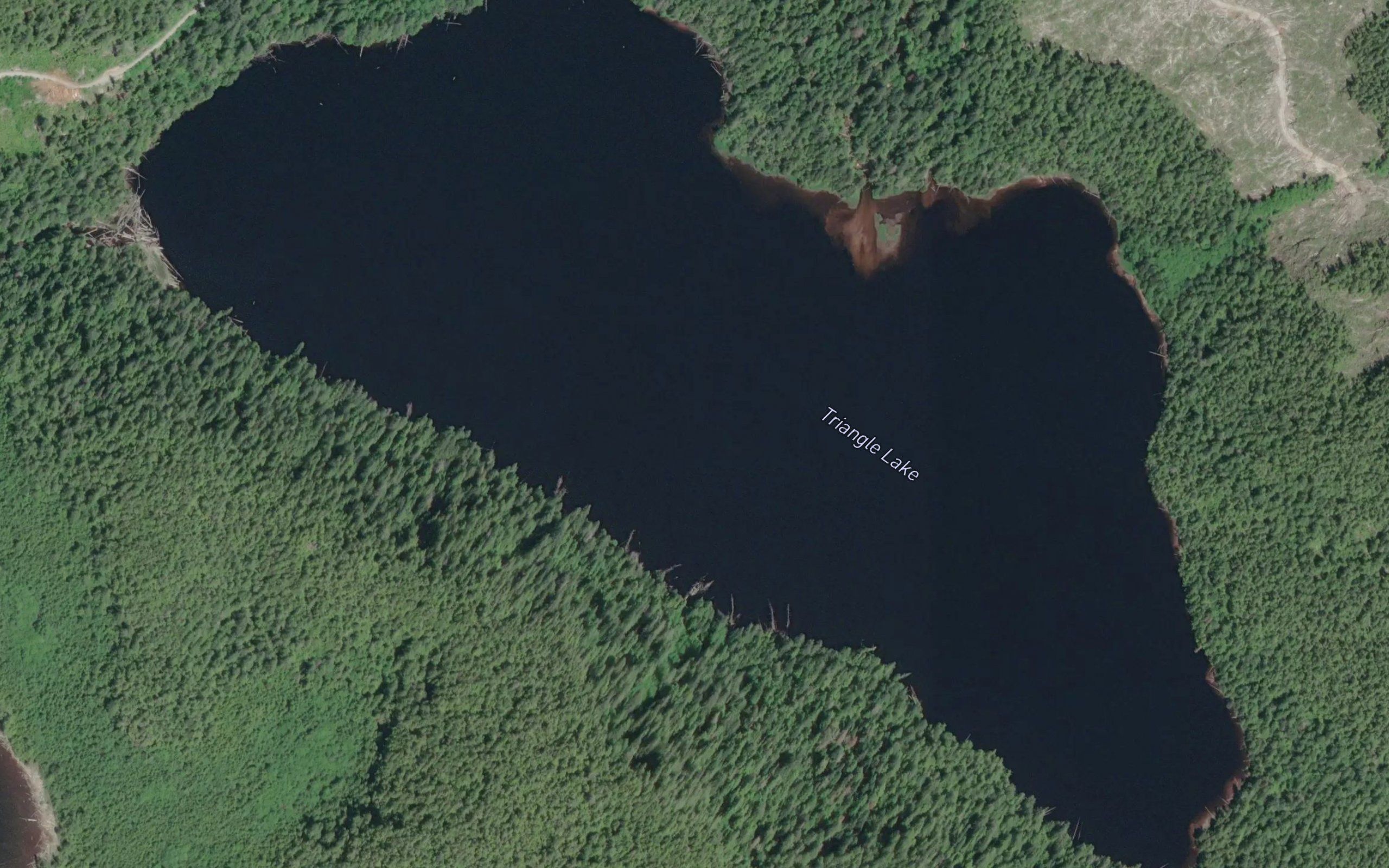 Triangle Lake