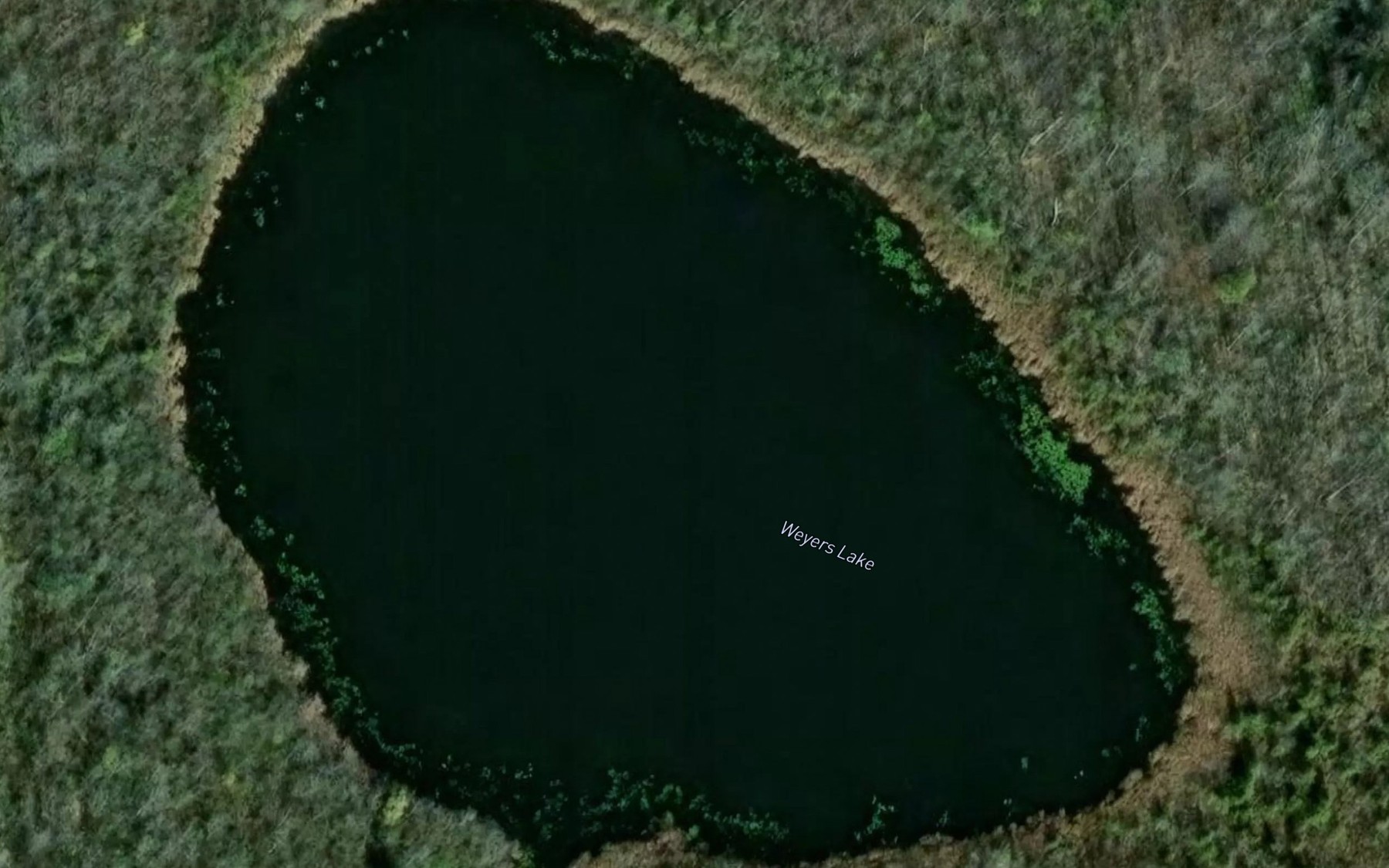 Satellite map of the Weyers Lake