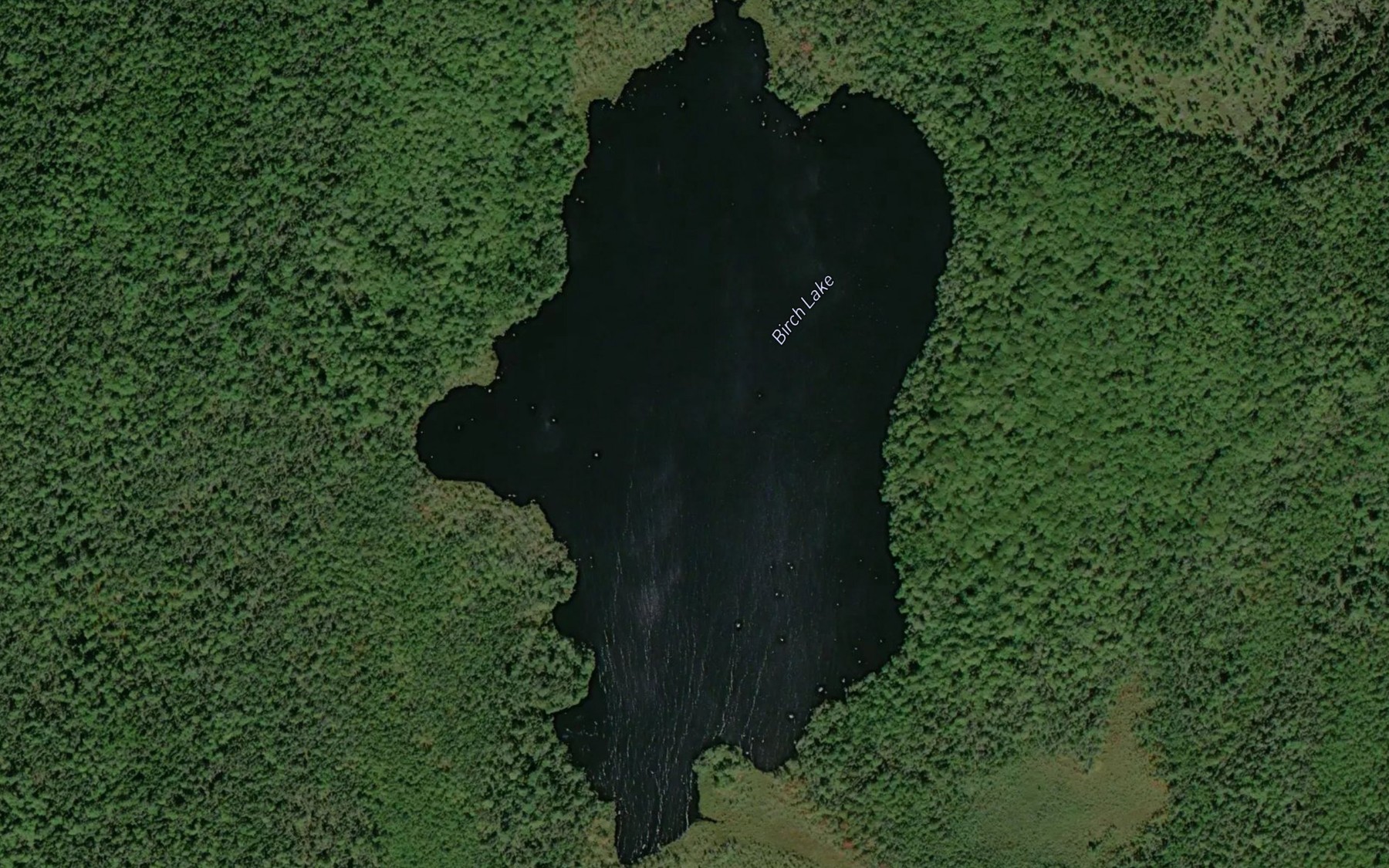 Satellite map of the Birch Lake