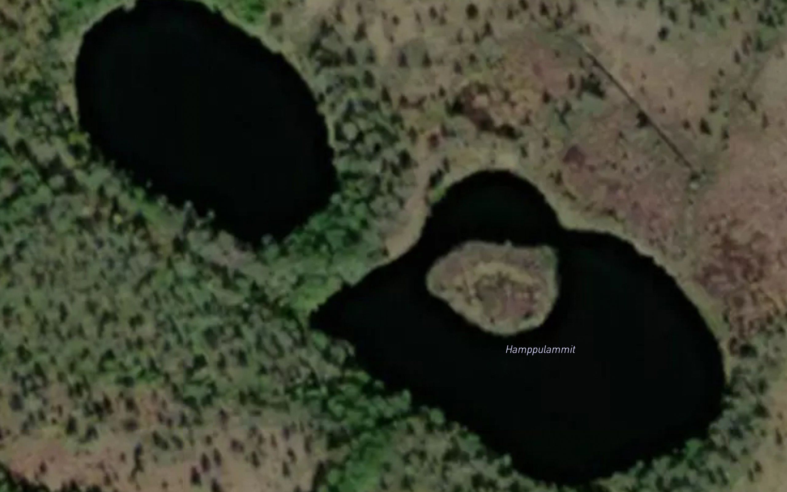Hamppulammit