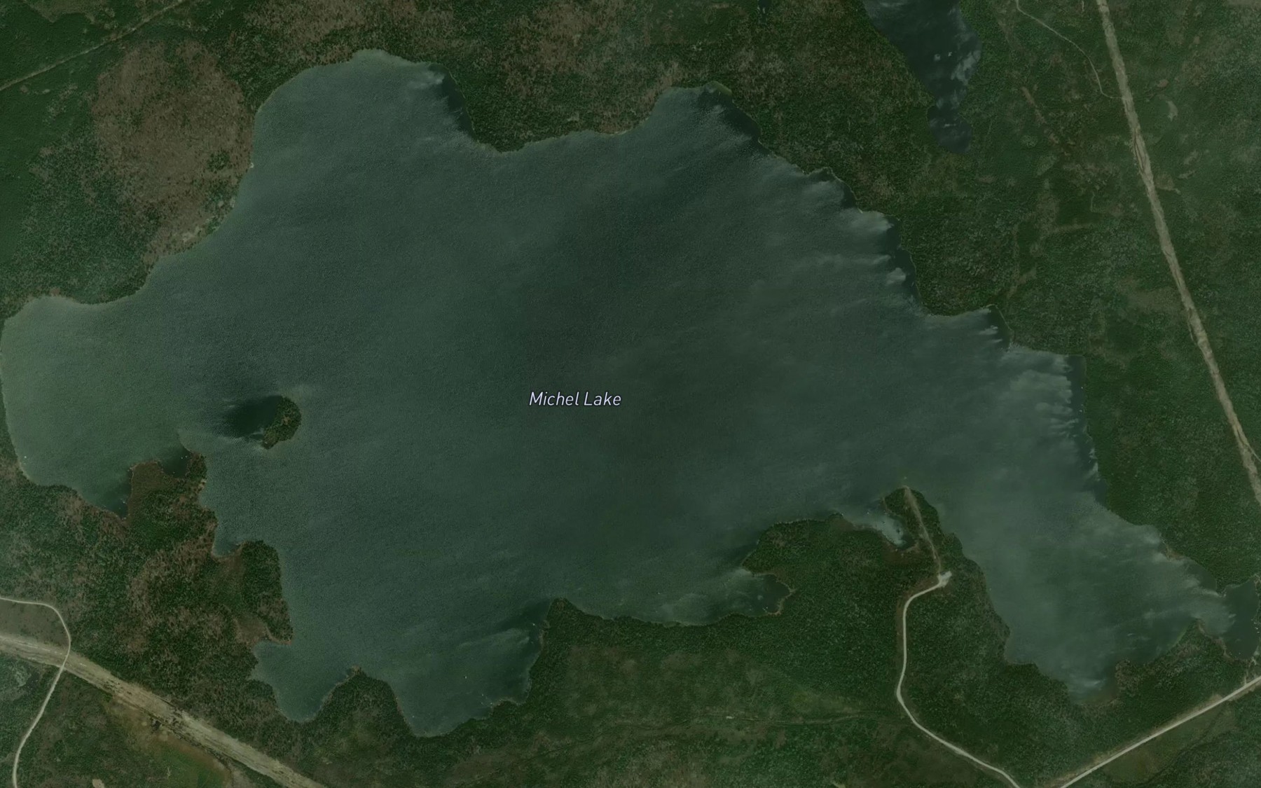 Satellite map of the Michel Lake