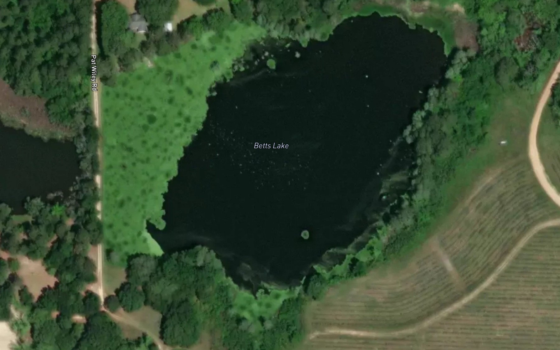 Satellite map of the Betts Lake