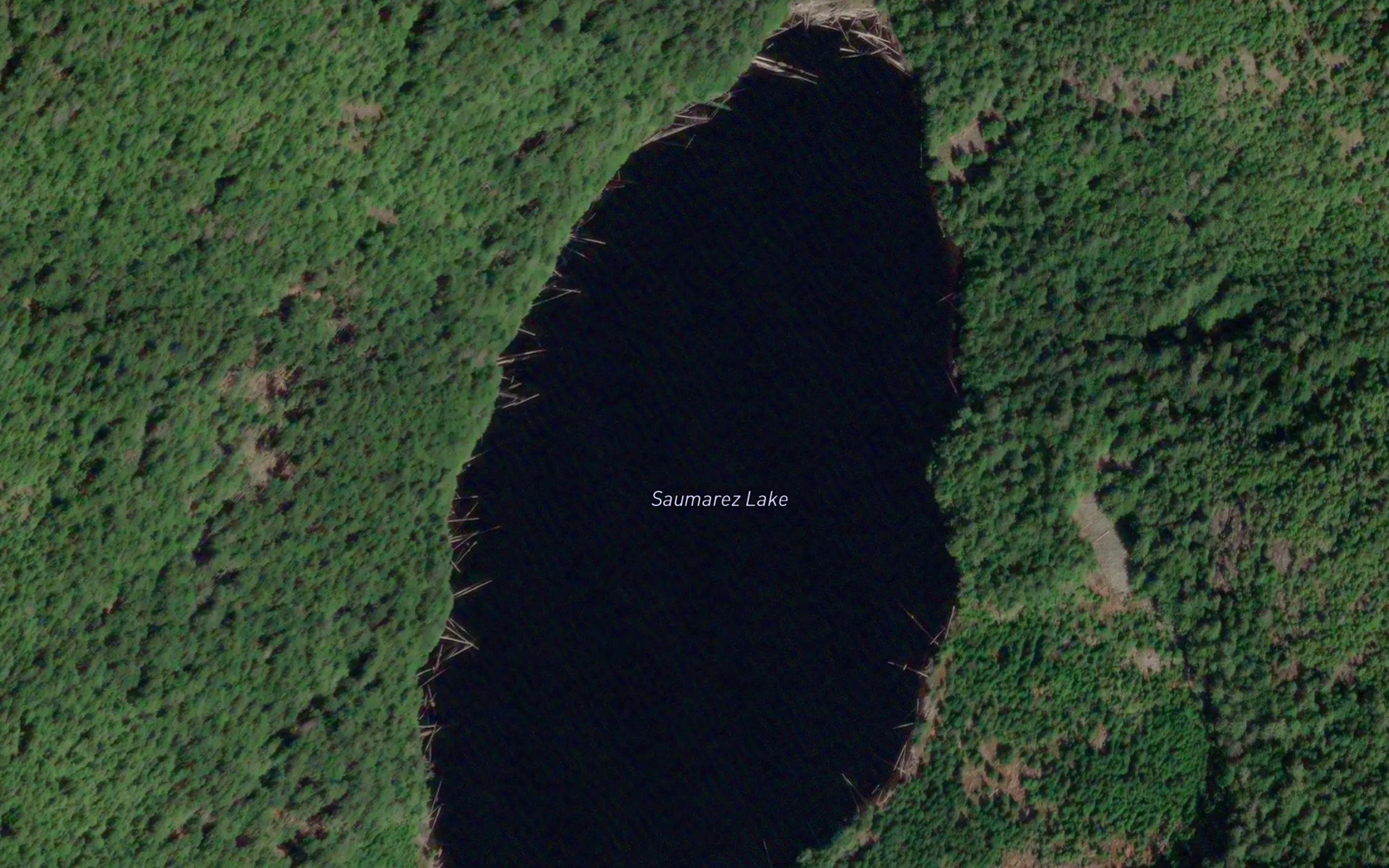 Saumarez Lake
