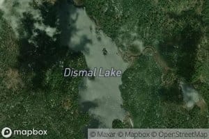 Dismal Lake