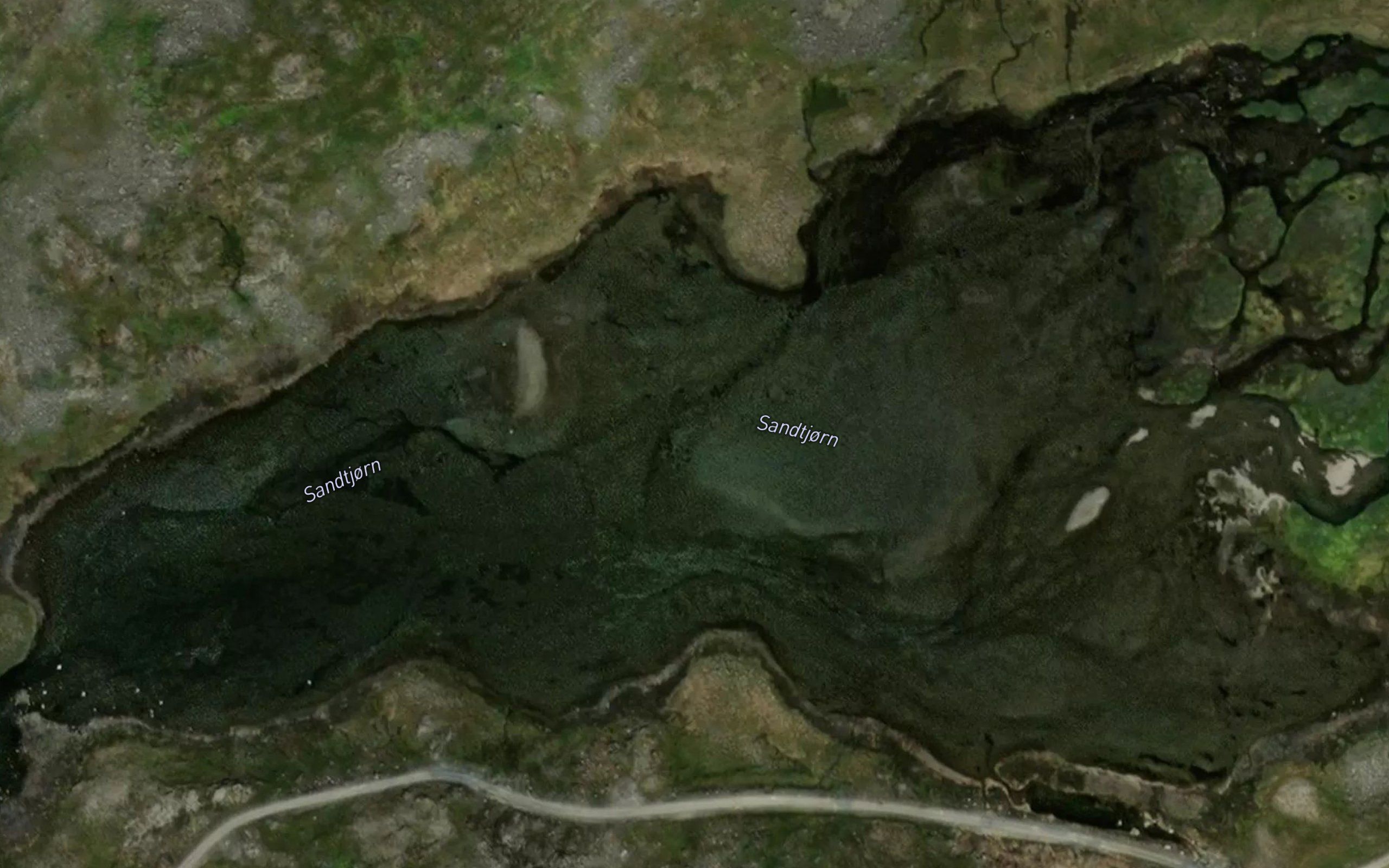 Sandtjorn