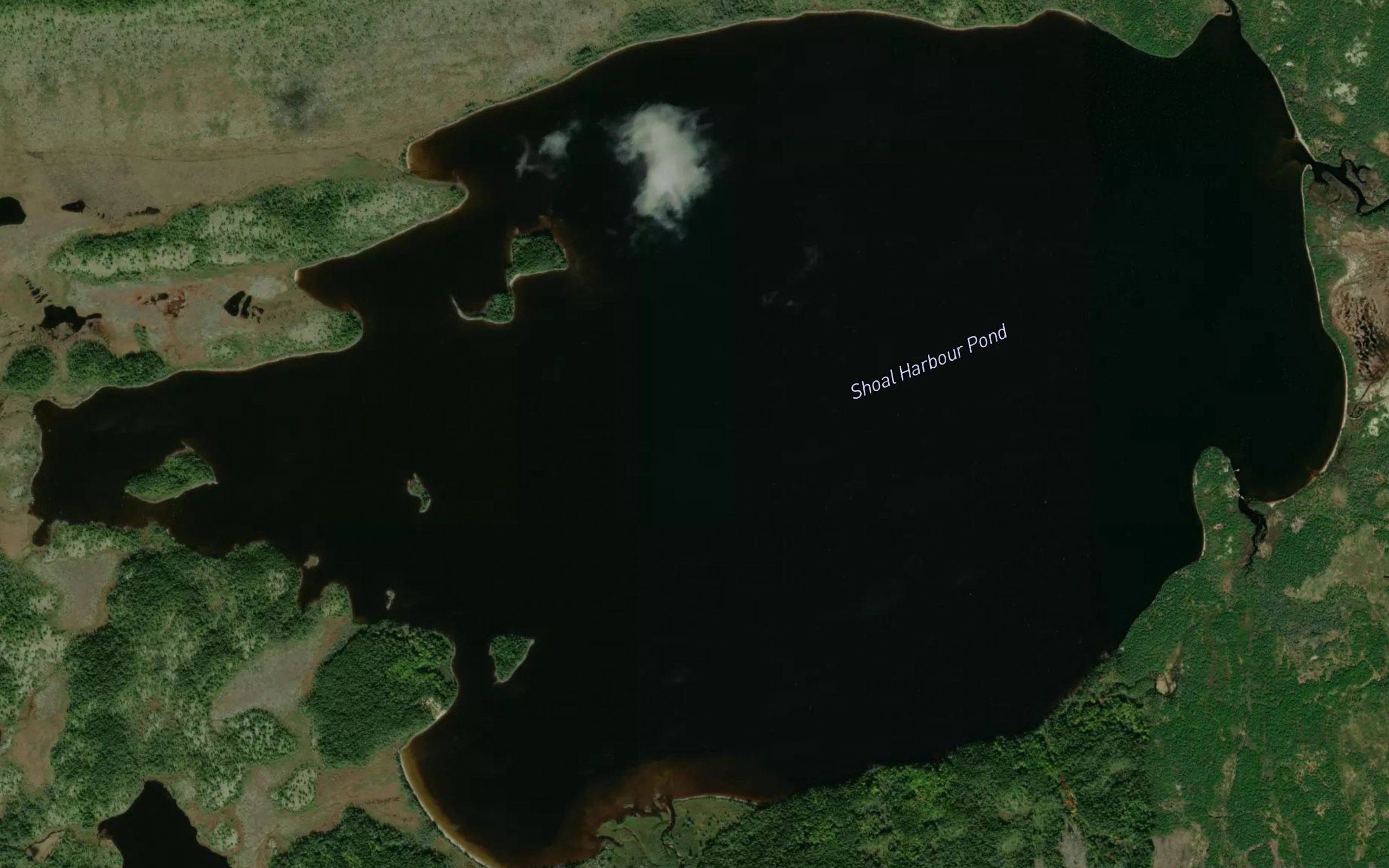 Shoal Harbour Pond
