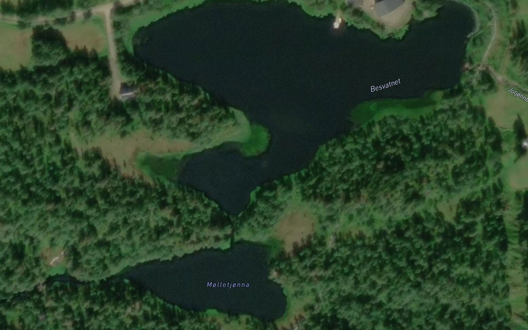 Satellite map of the Bessvatnet