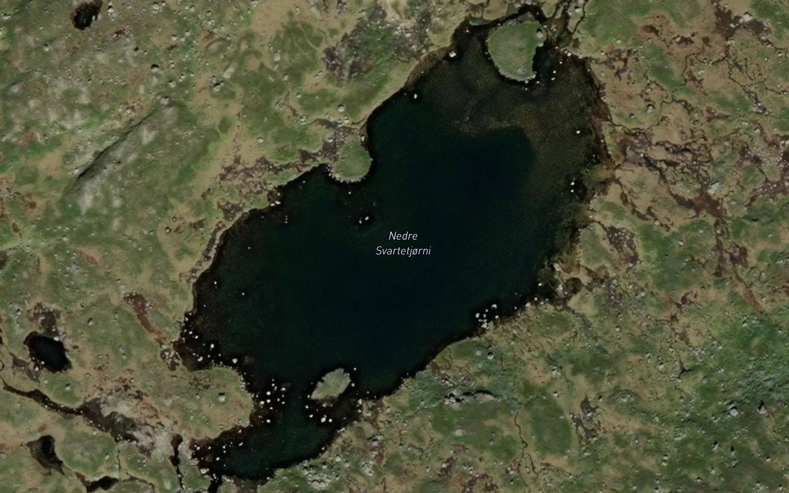 Svartetjorni,nedre