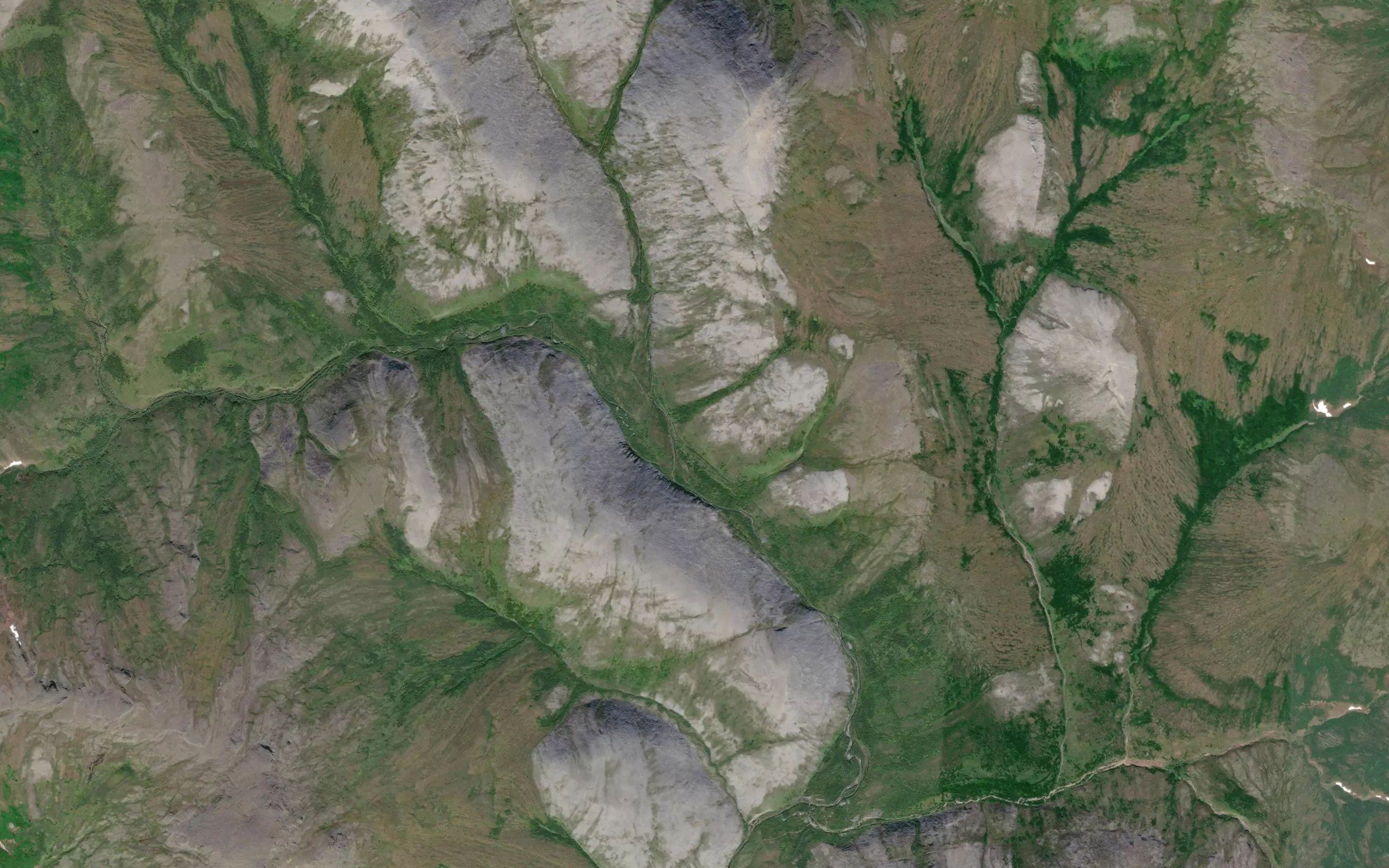 Shovel Creek
