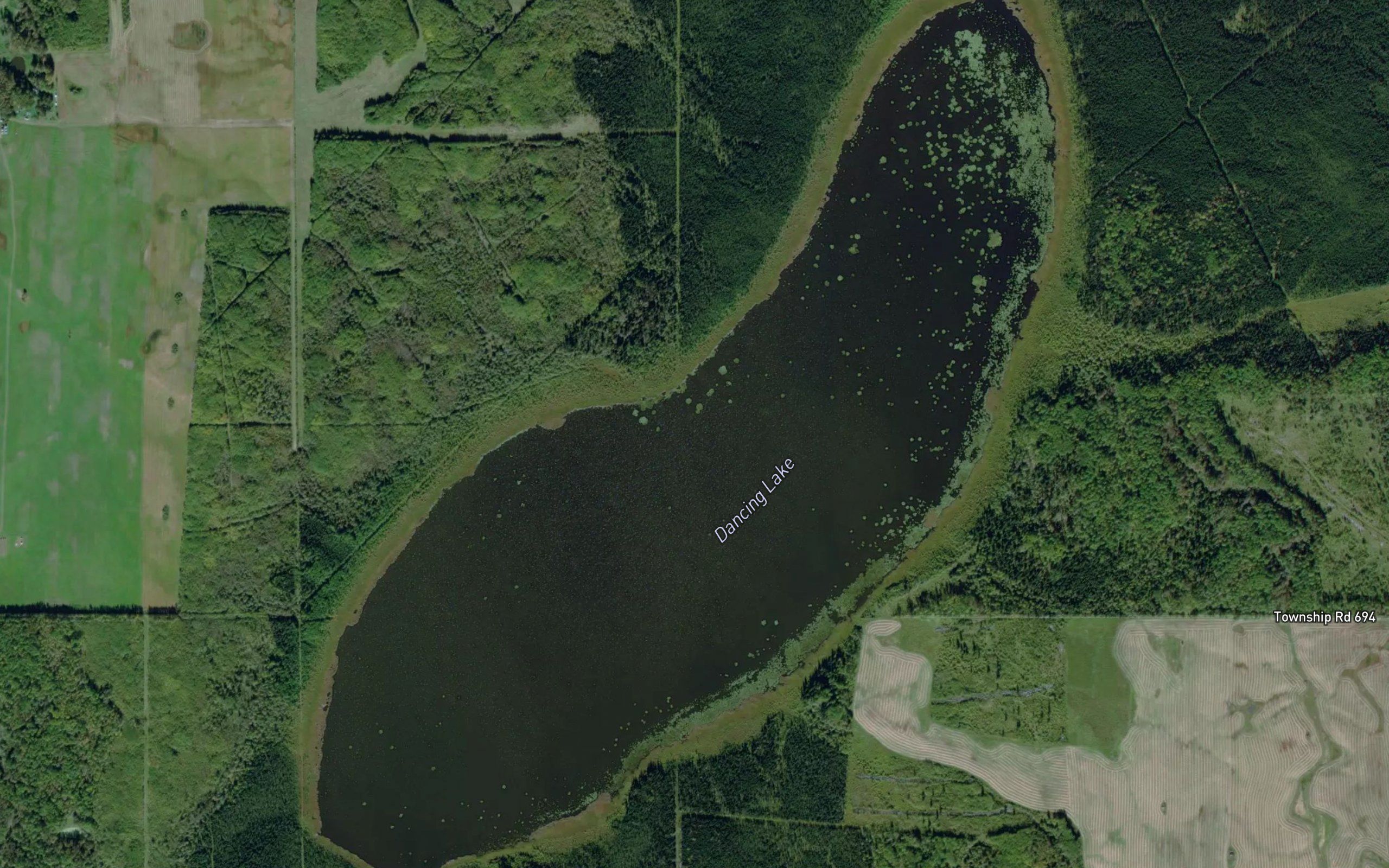 Dancing Lake