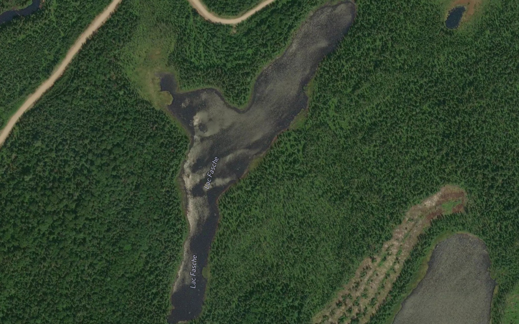 Satellite map of the Lac Fasche