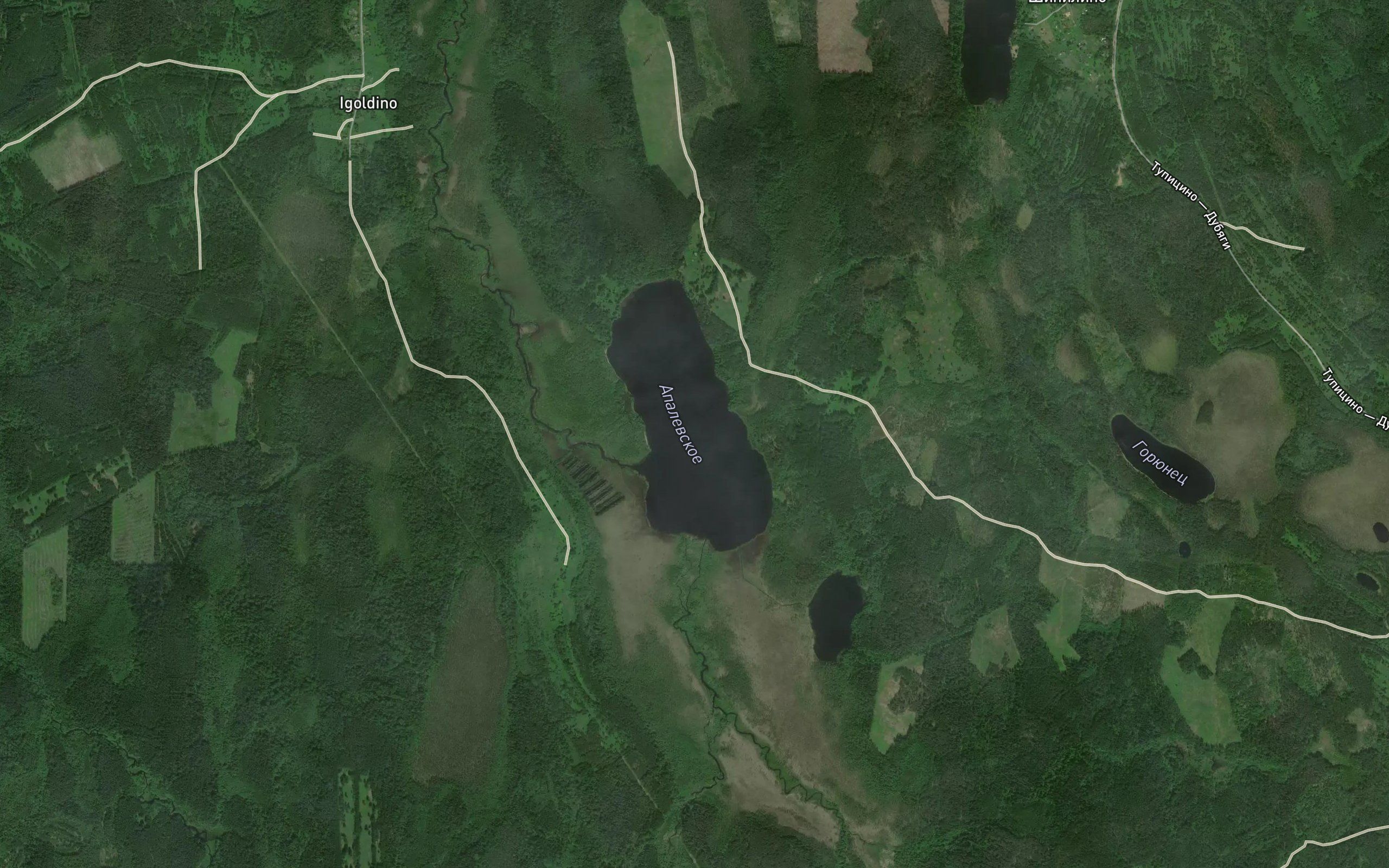 Ozero Apalevskoye