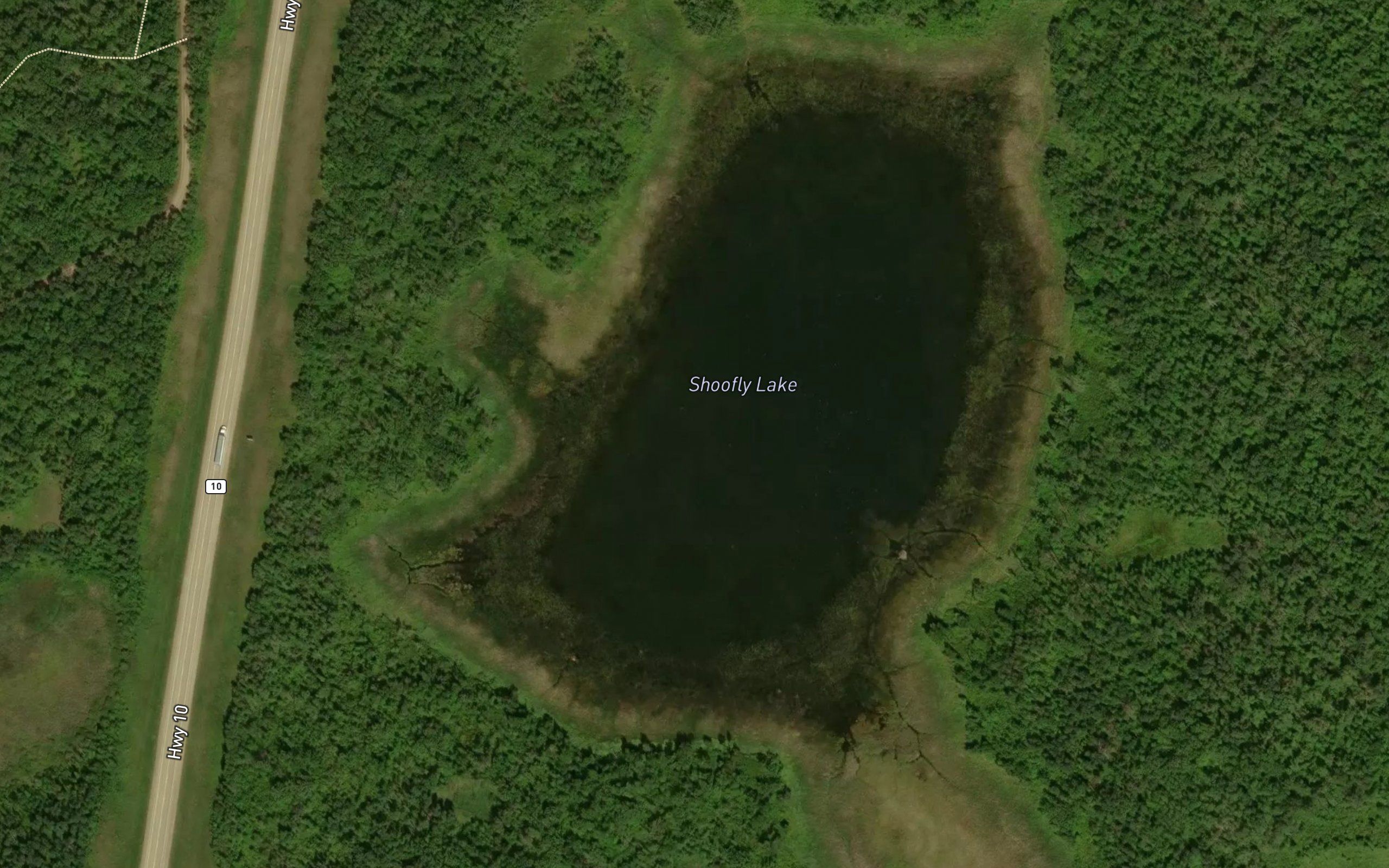 Shoofly Lake