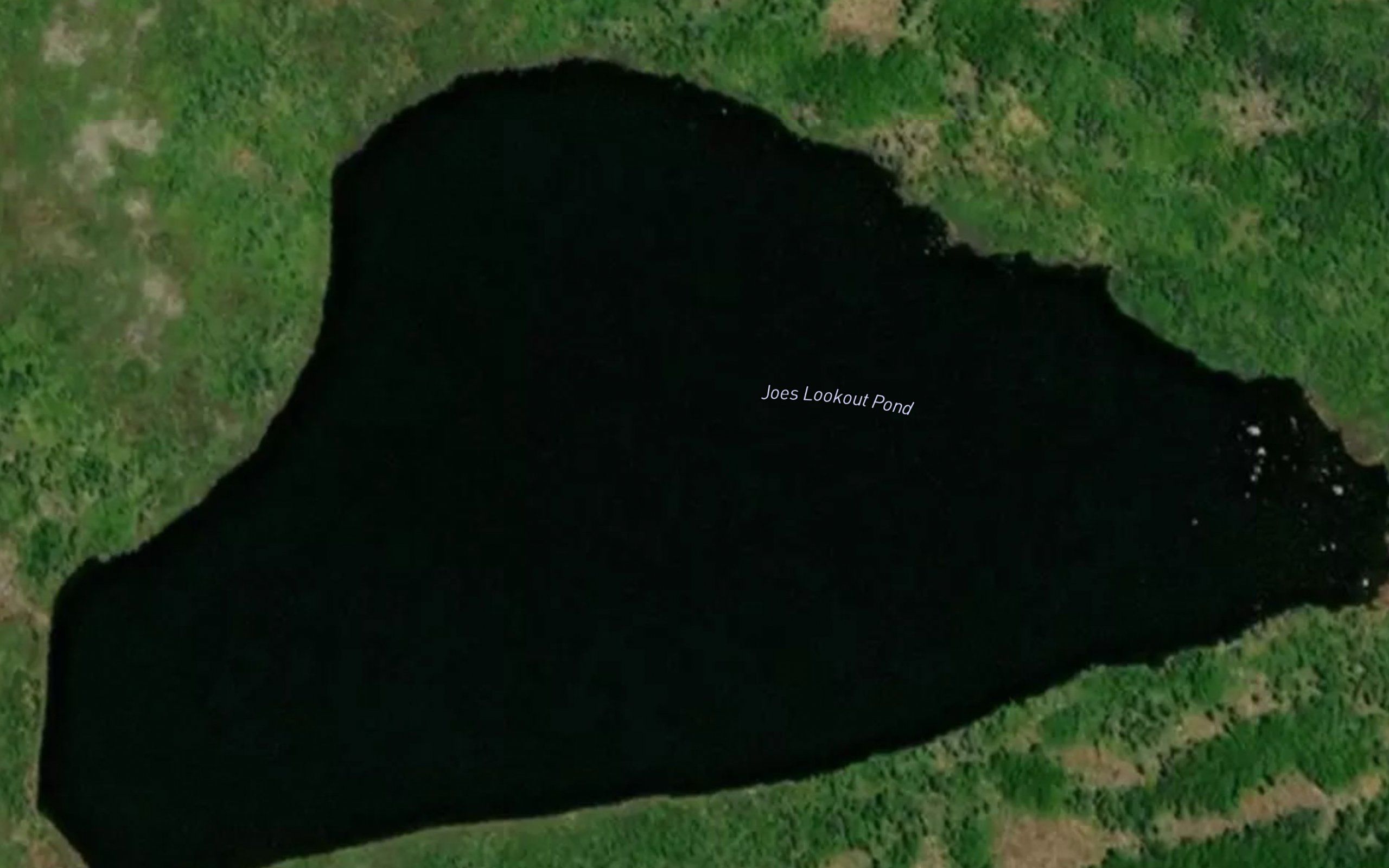 Joes Lookout Pond