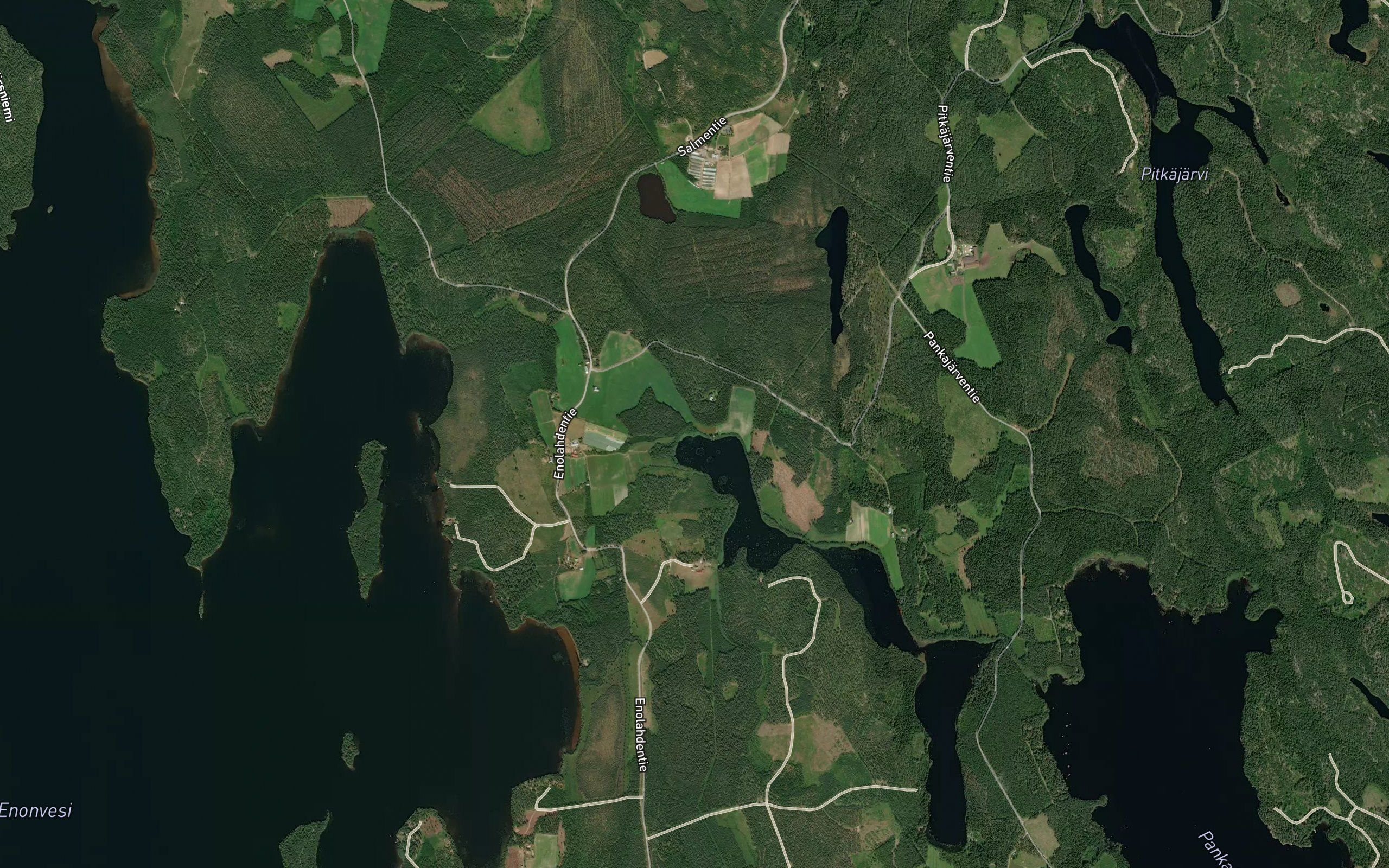 Lehmioja