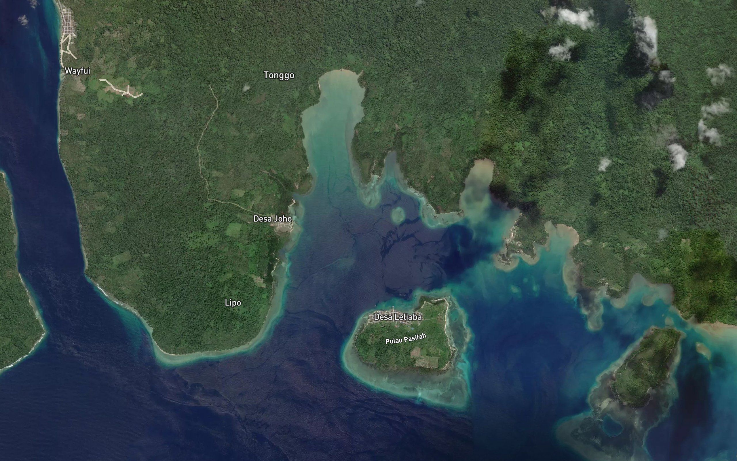 Teluk Vesuvius