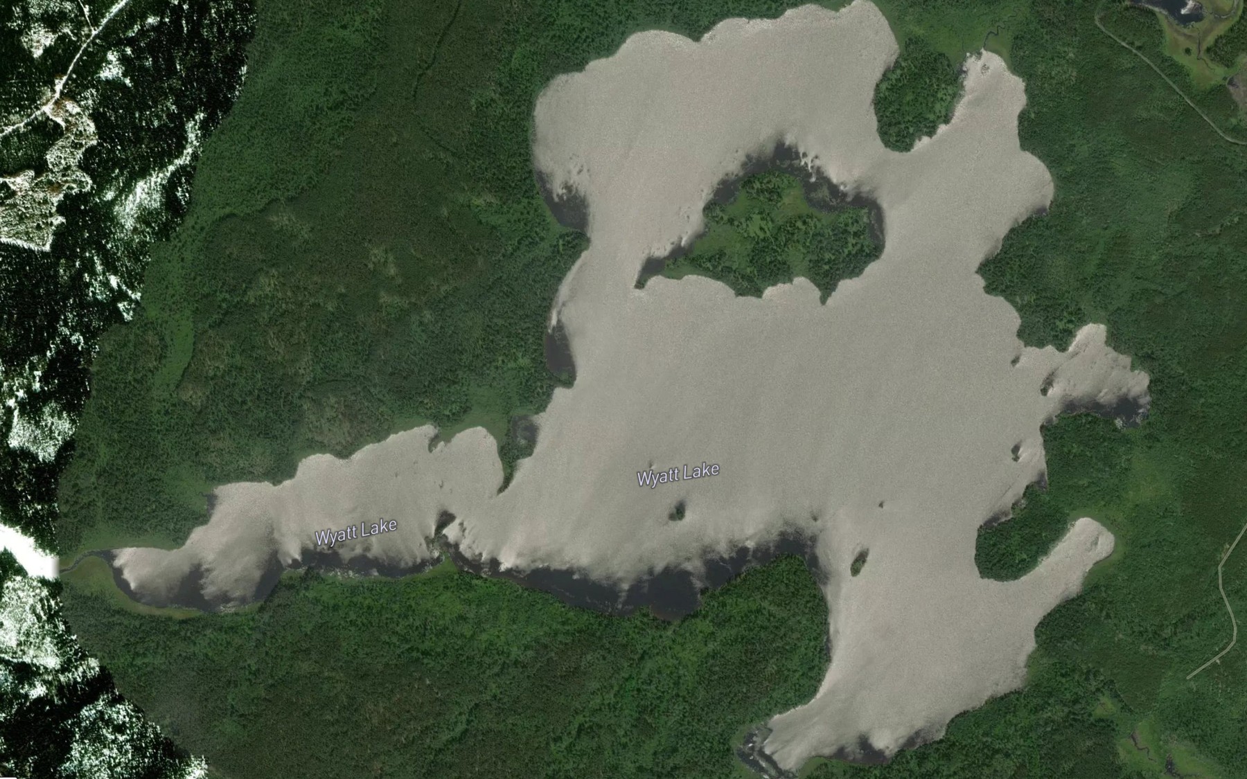 Satellite map of the Wyatt Lake