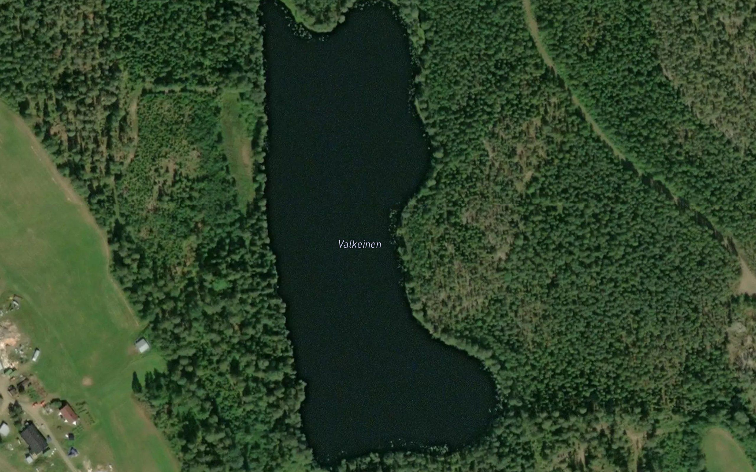 Valkeinen