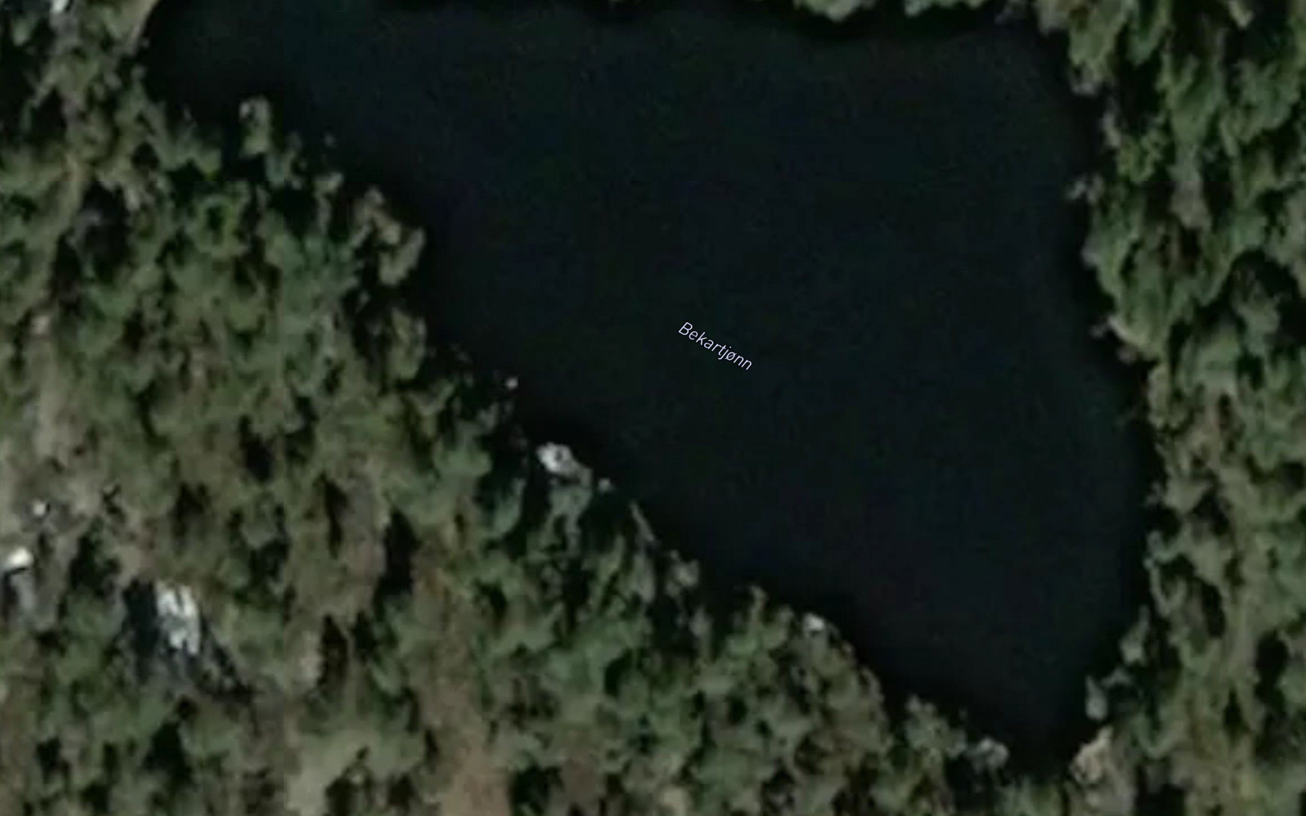 Bekartjorn