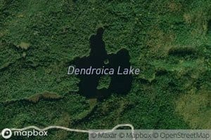 Dendroica Lake