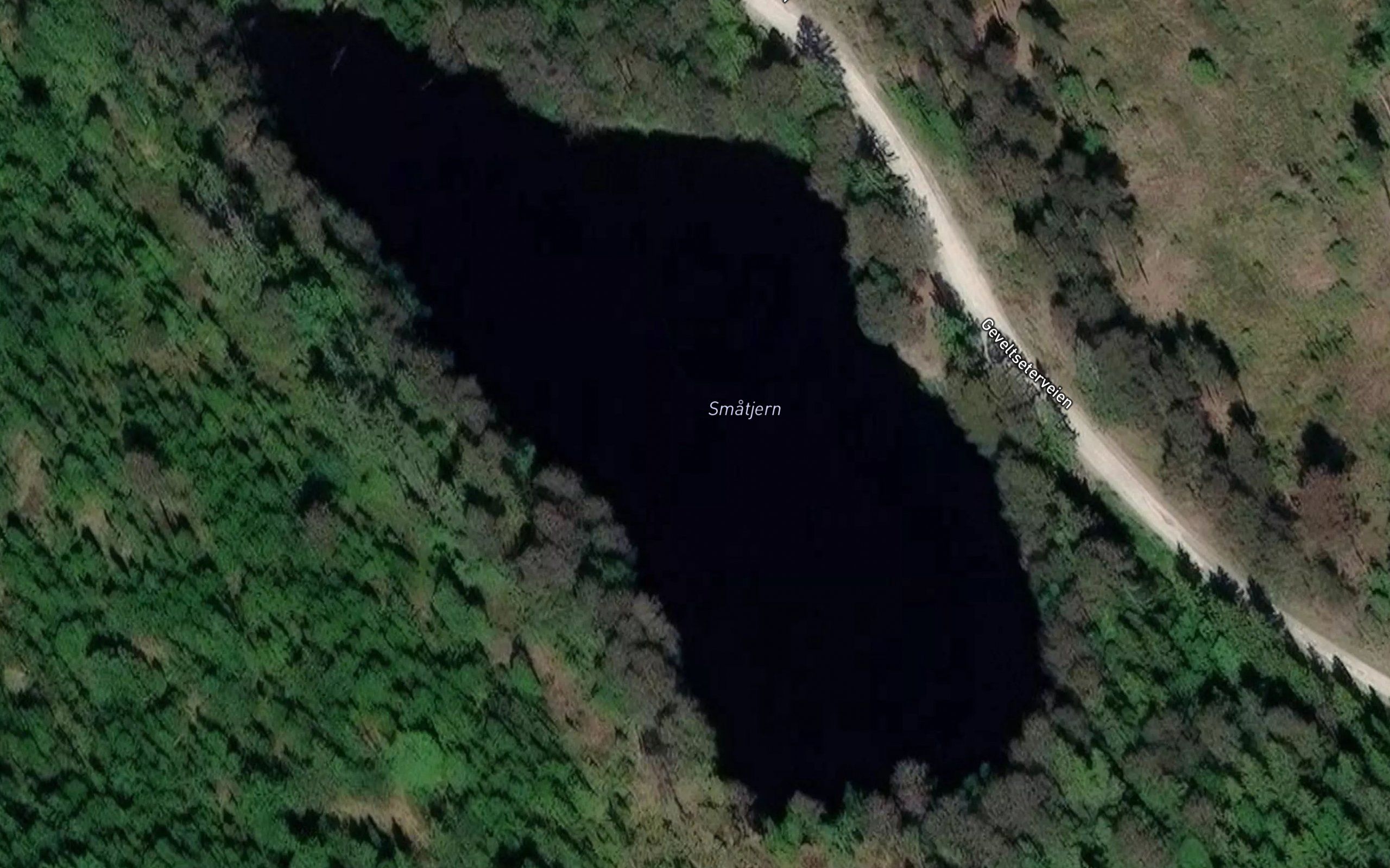 Smatjern